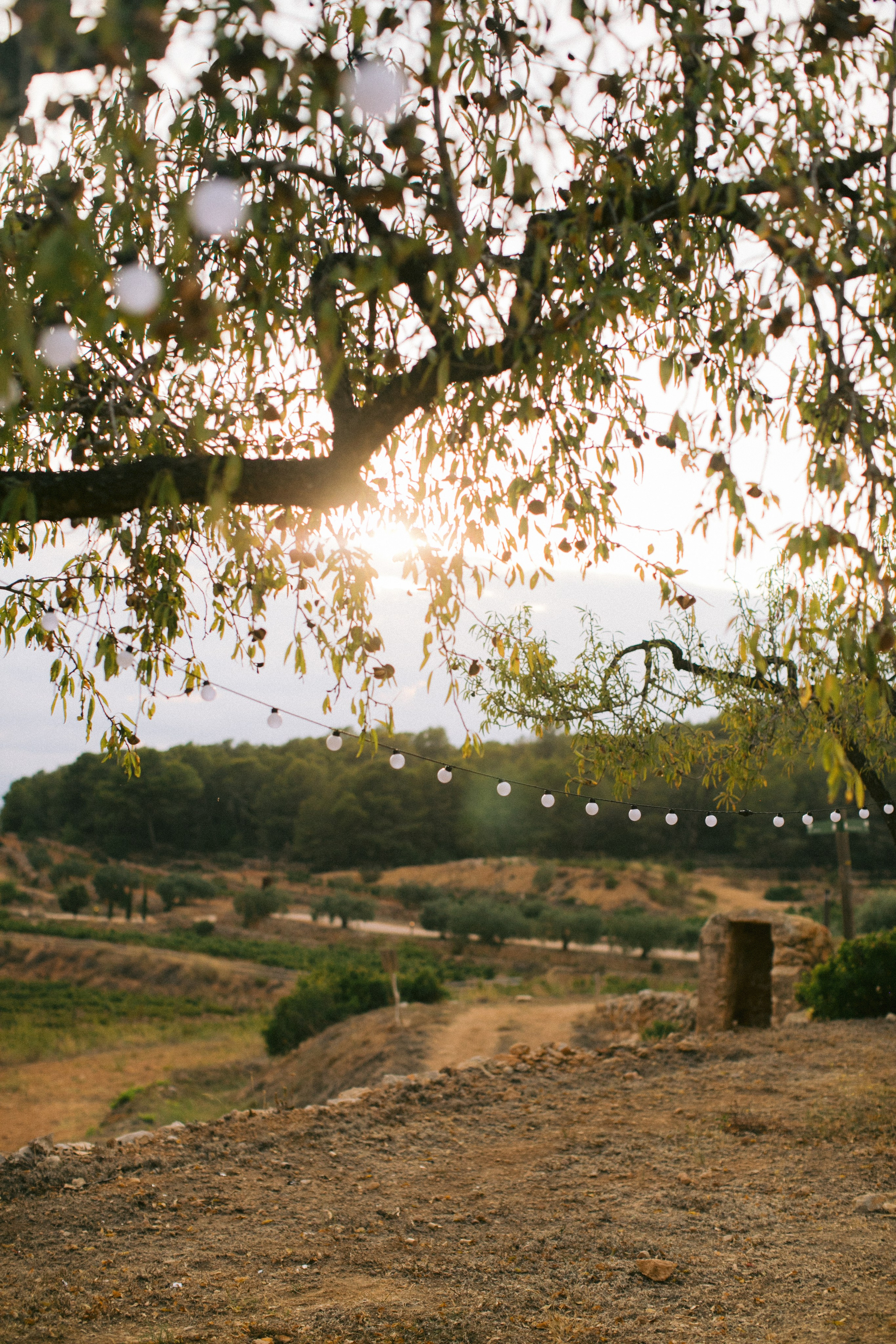 Boda en Tarragona, España. Yarets Studio | Videógrafos y Fotografía de Bodas | Barcelona