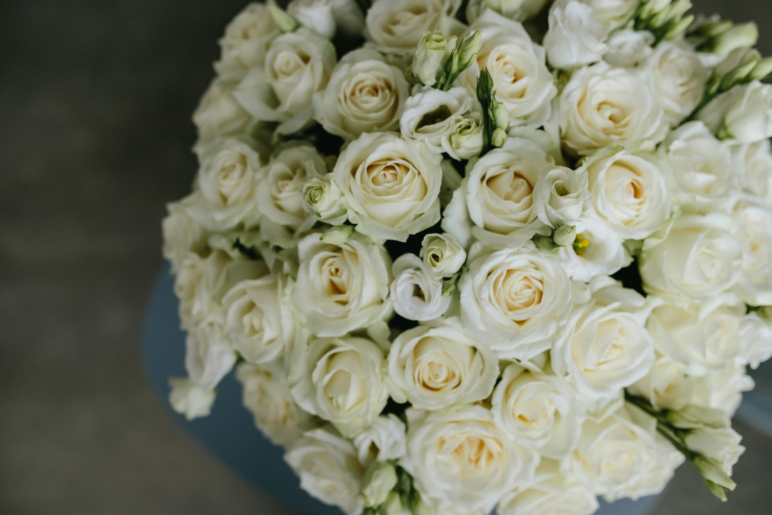 Весільна церемонія в "ГОТОВО" м. Київ