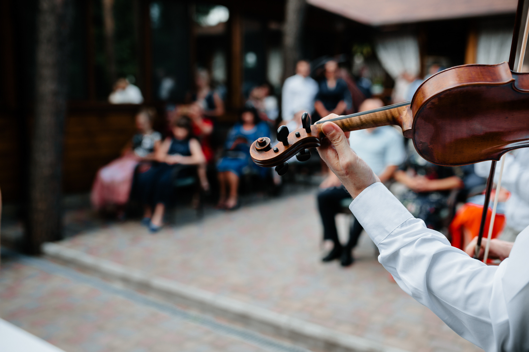 Владлена та Миколай