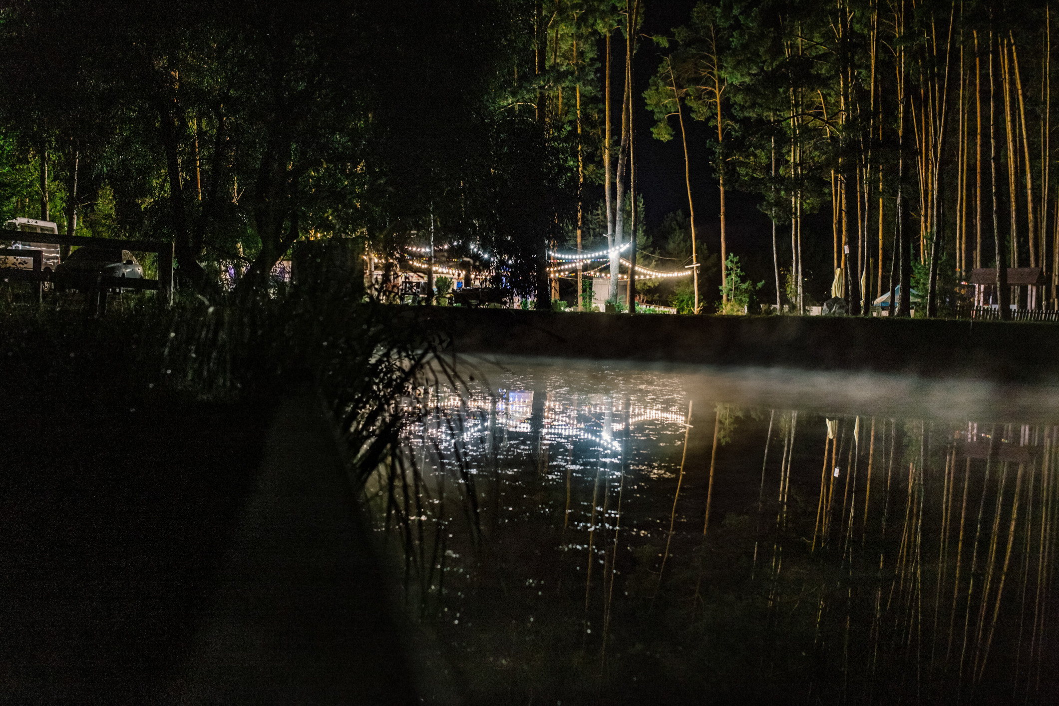 Весілля Шуневичів