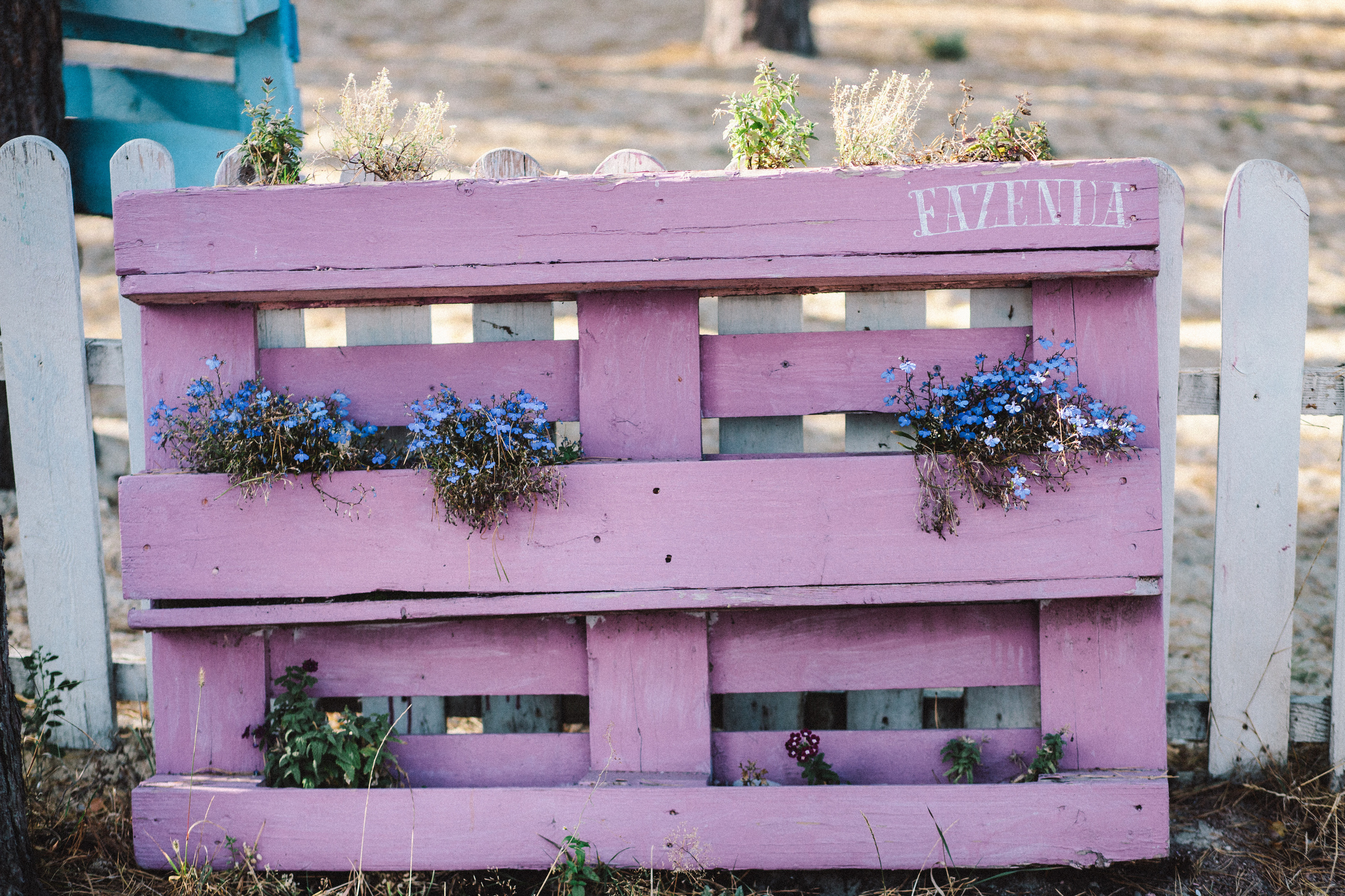 Олександр + Анна