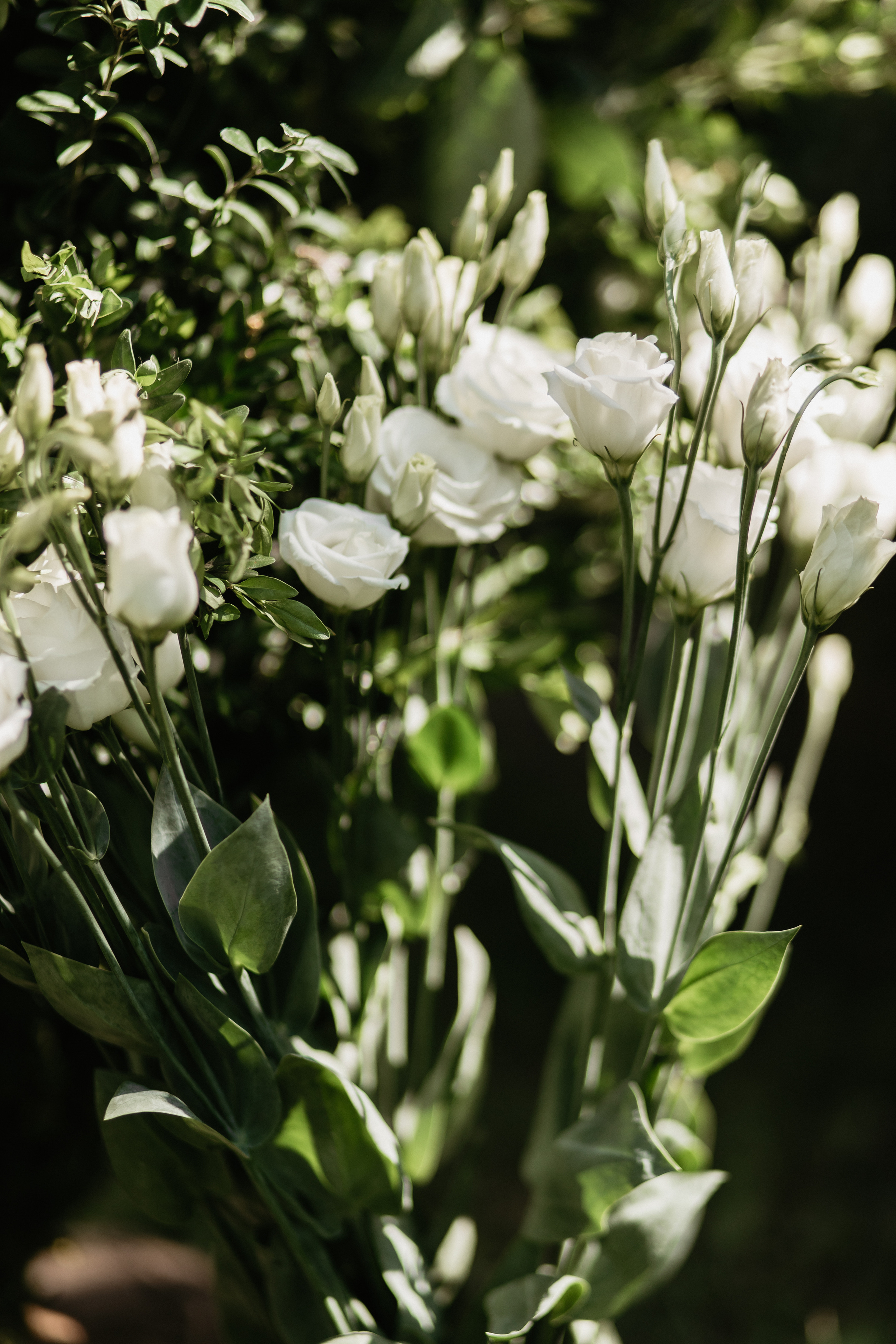 Віталій і Катя