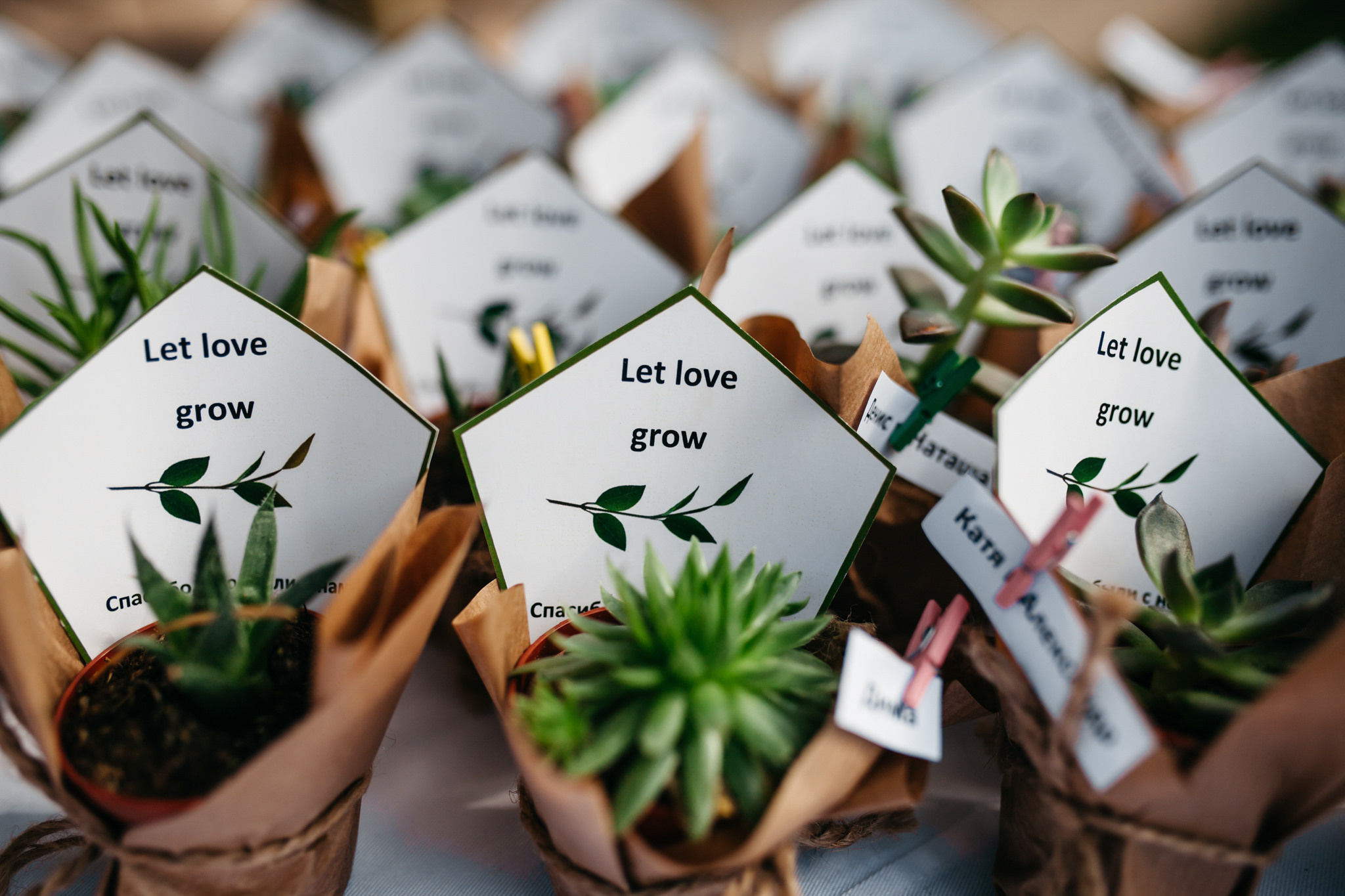 Влад та Дарина