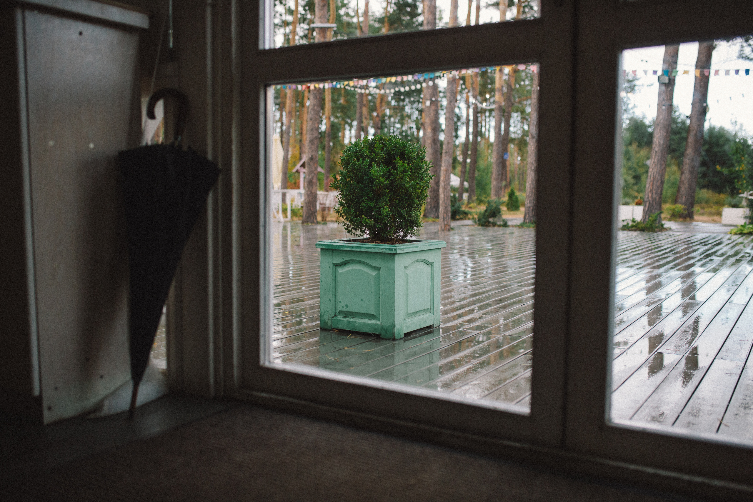 Олександр + Анна