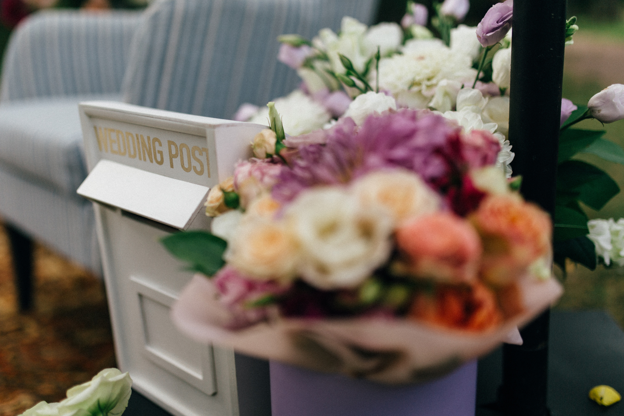 Весільна репортажна фото та відео зйомка