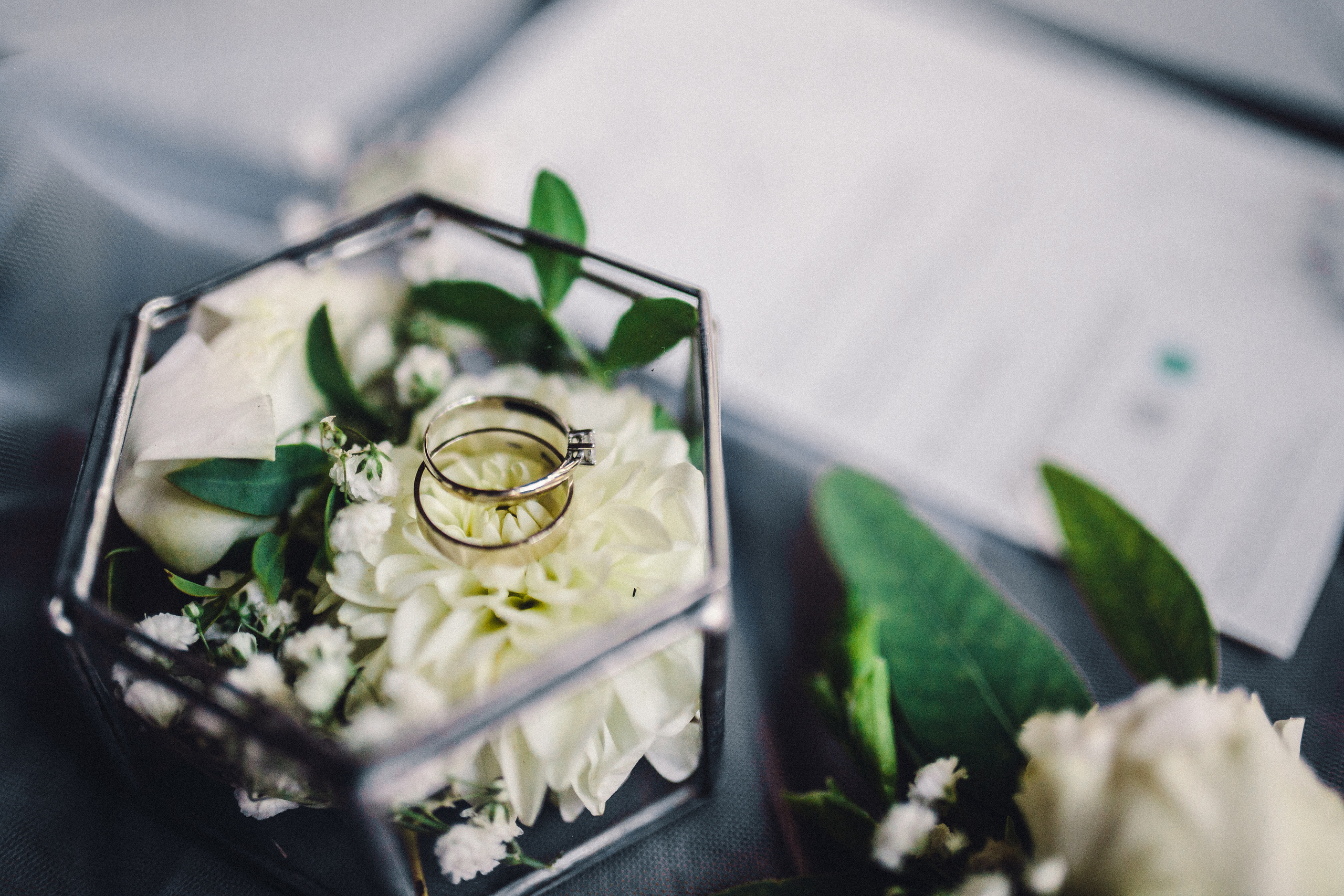 Весілля Шуневичів