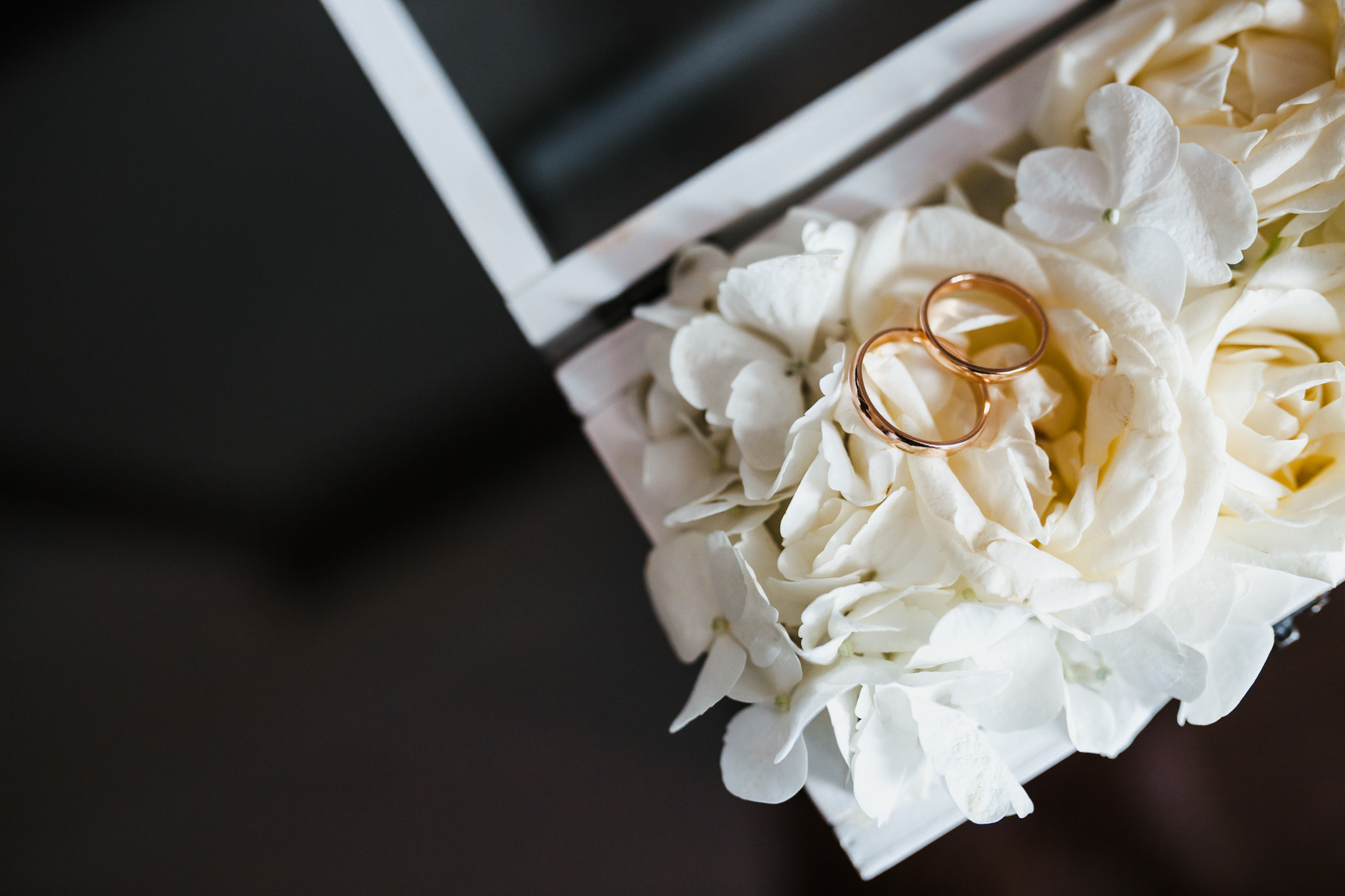 Владлена та Миколай