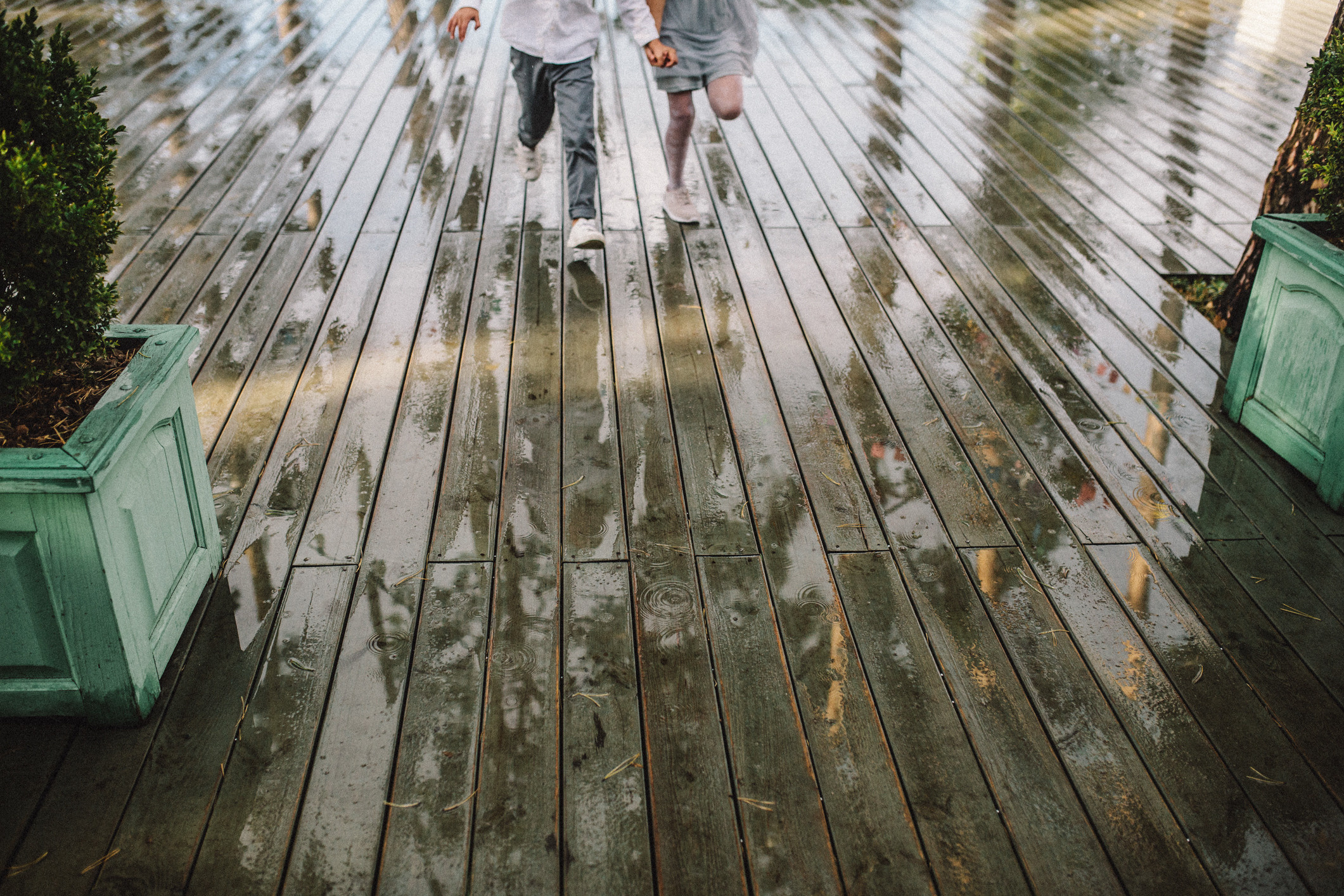 Весілля Шуневичів