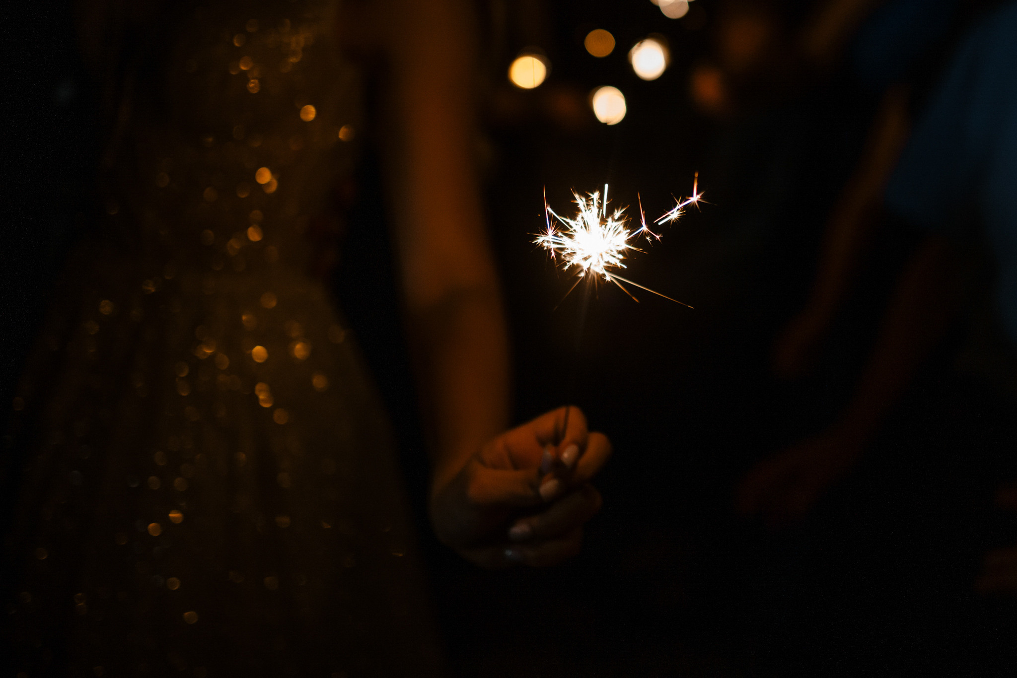 Владлена та Миколай