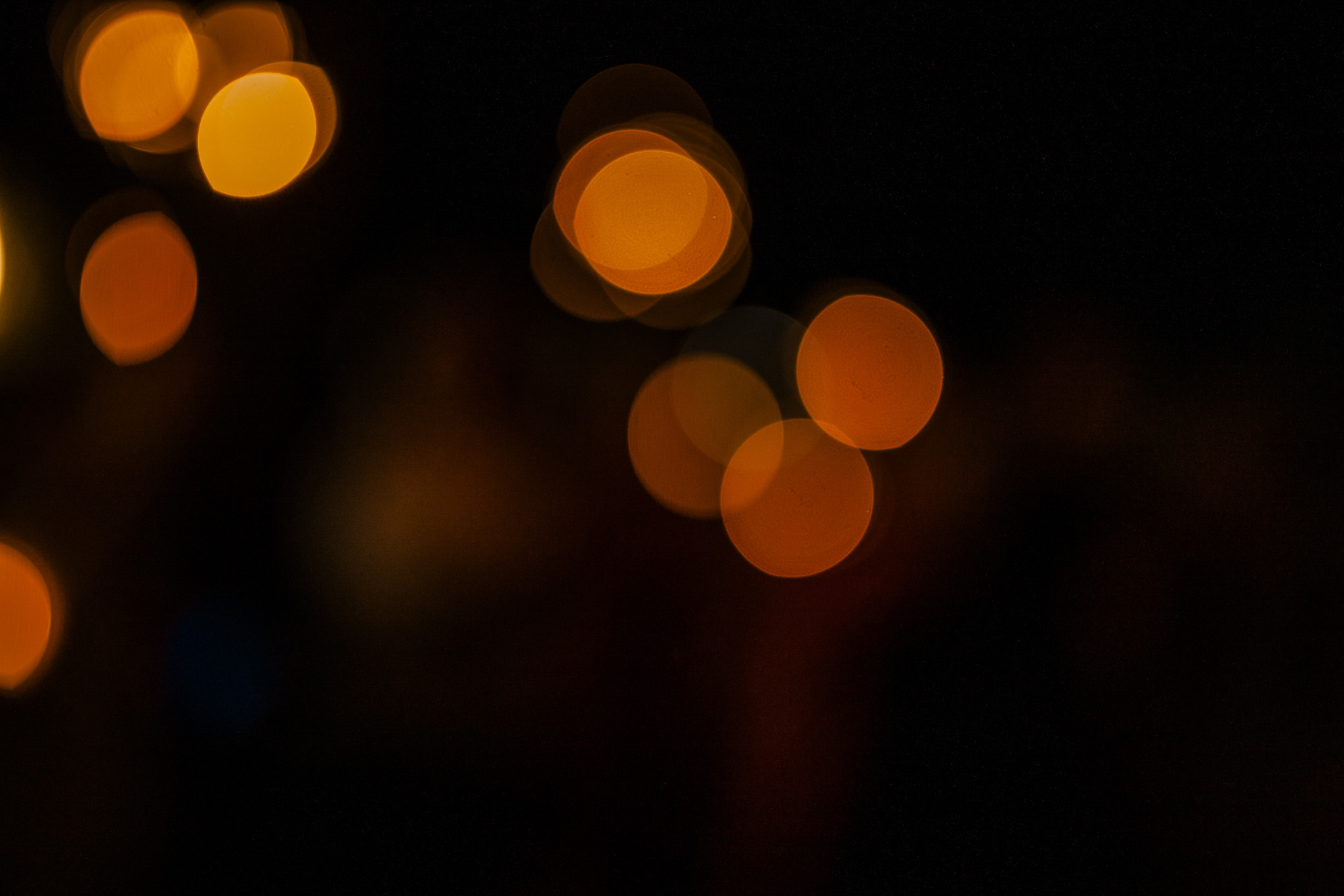 Владлена та Миколай