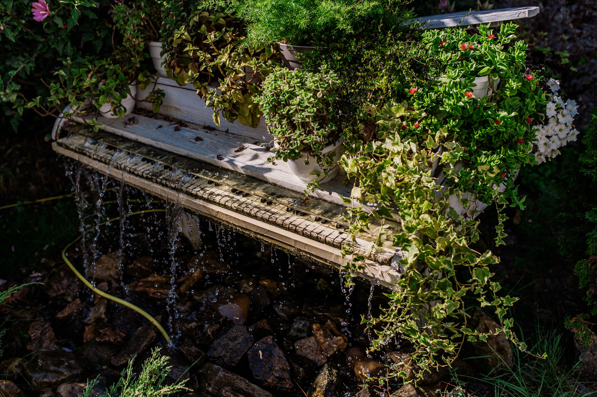 Діма та Юля