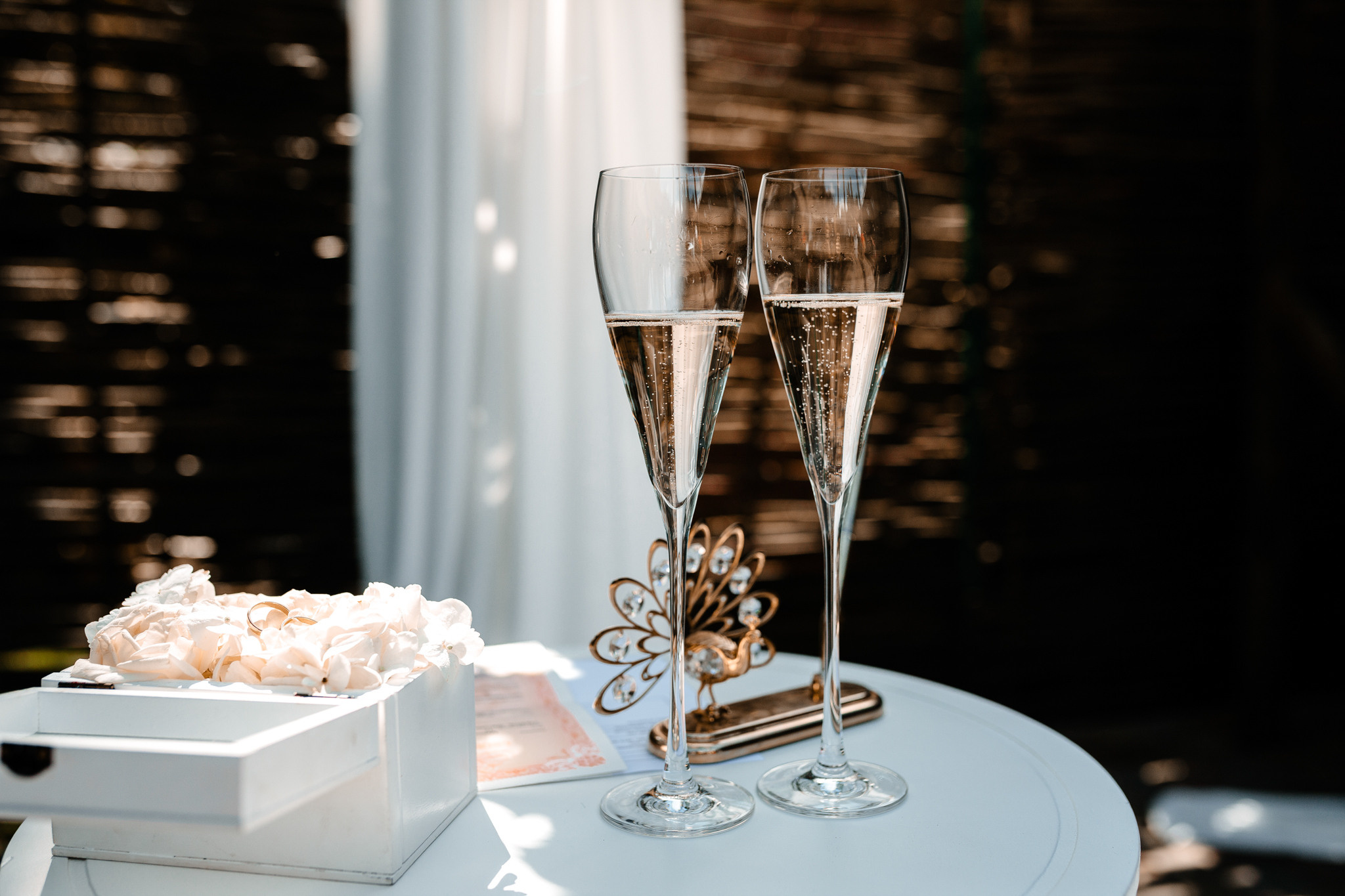 Владлена та Миколай