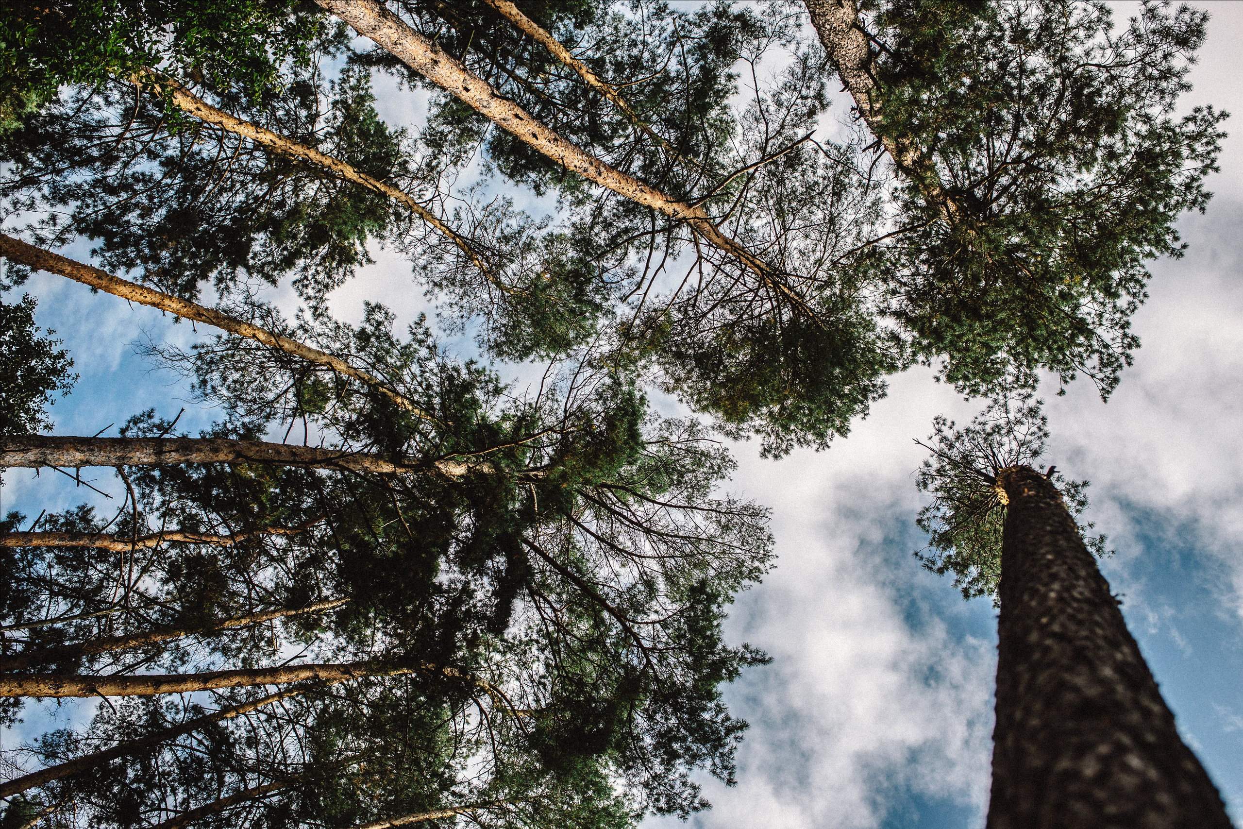 Олександр + Анна