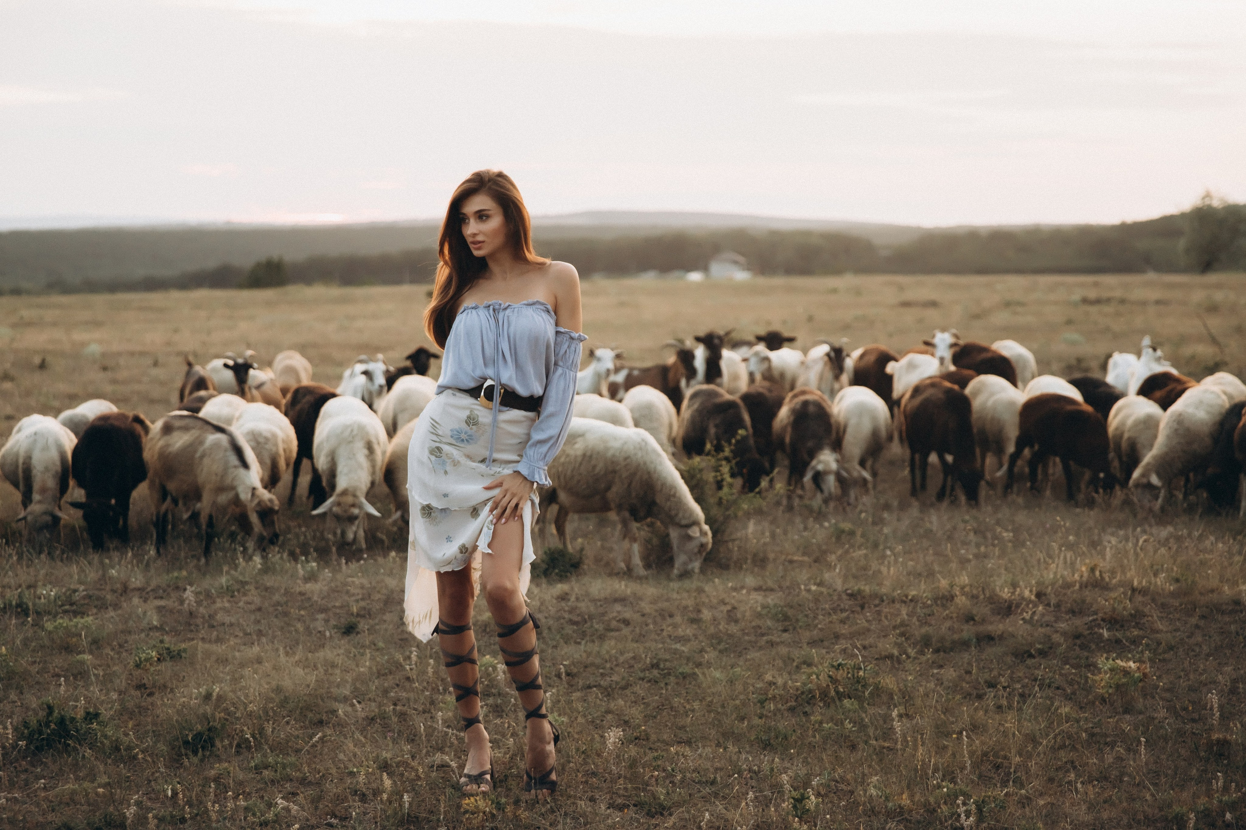 Love in the air. Main