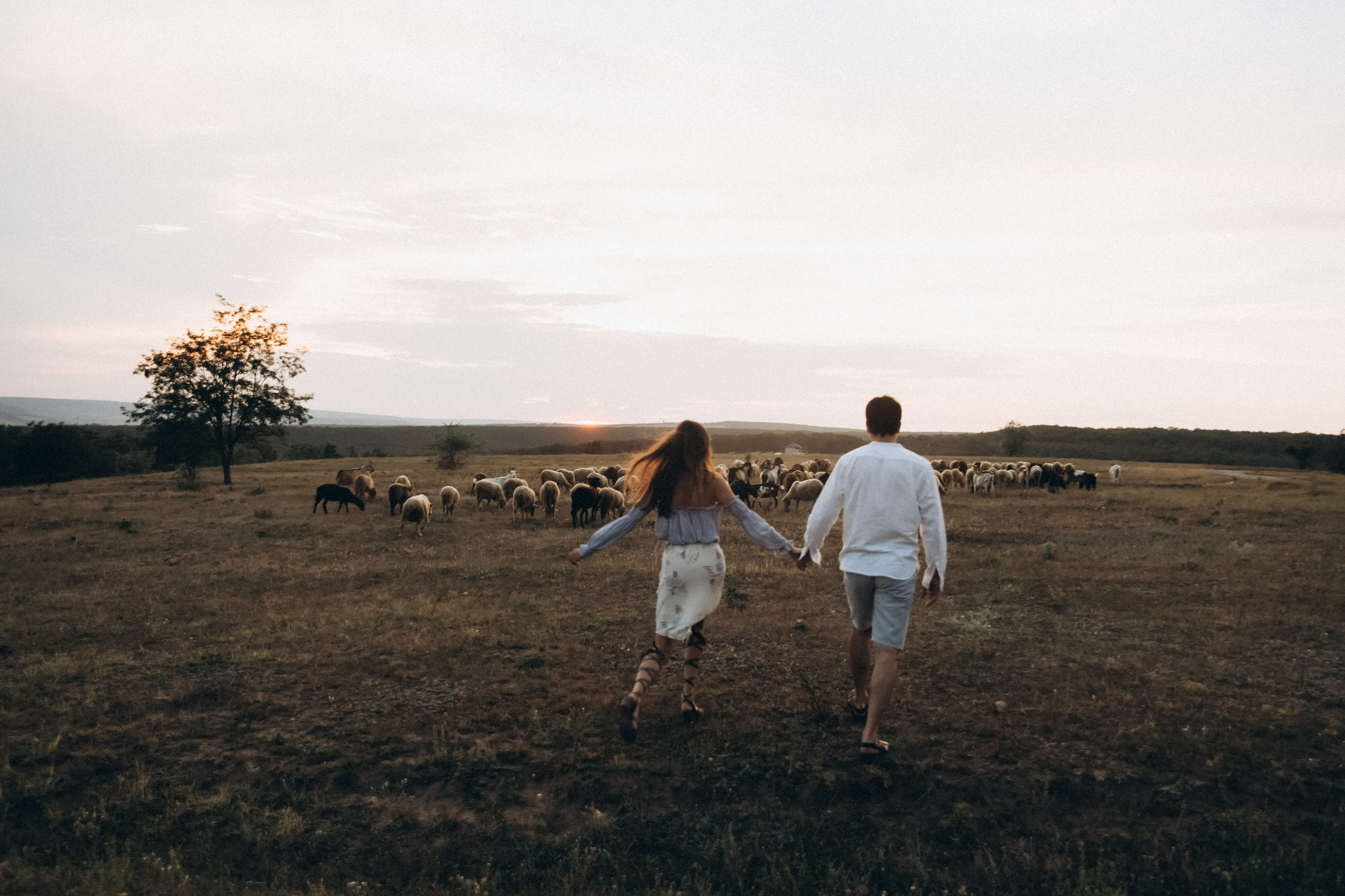 Love in the air. Main