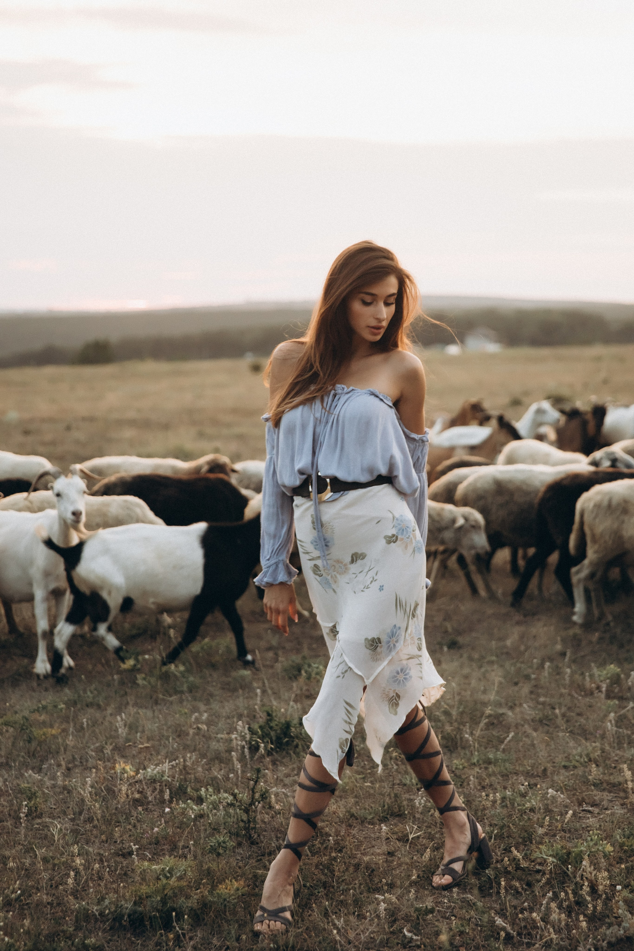 Love in the air. Main