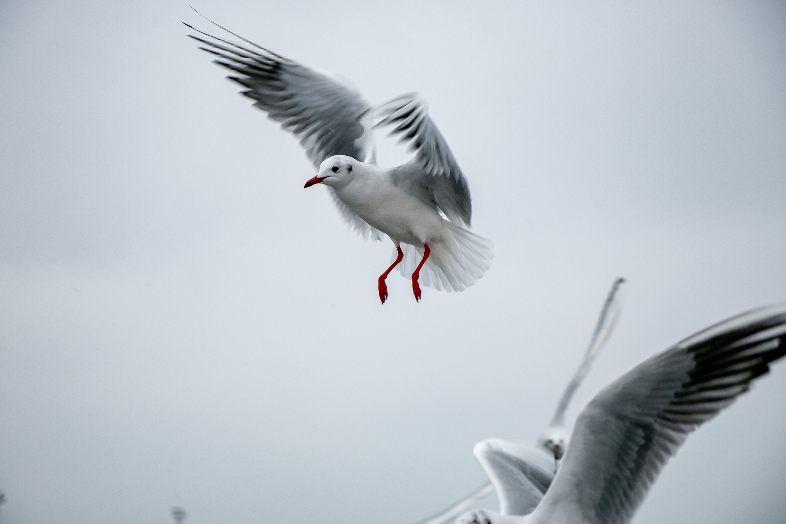Паромная переправа. Семейный фотограф Великодолинское