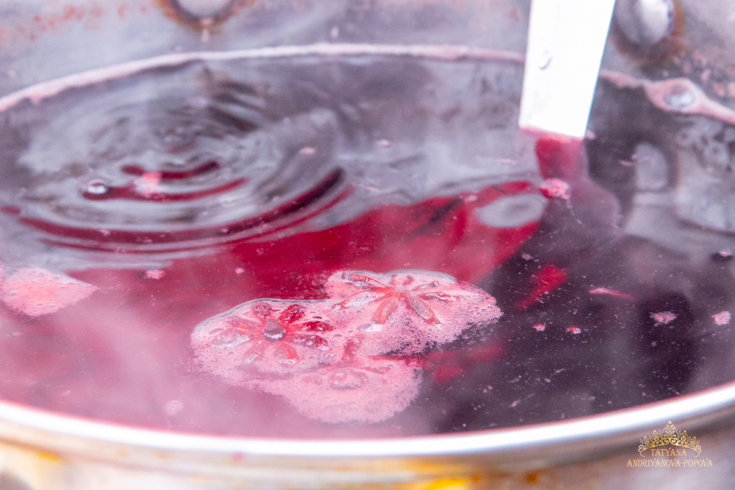 Масленица Великодолинское. Семейный фотограф Великодолинское