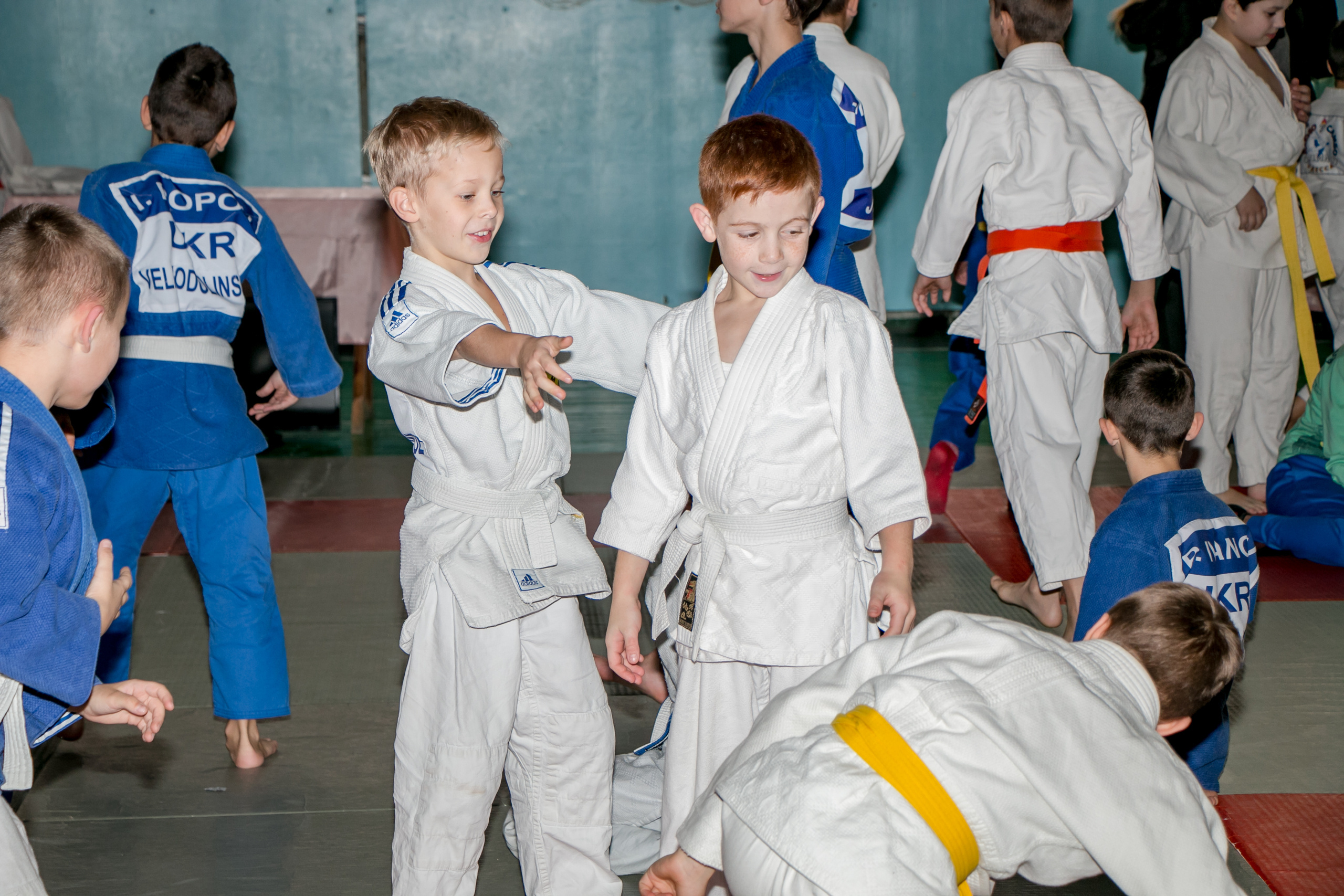 ДЗЮДО. Черноморск. Семейный фотограф Великодолинское