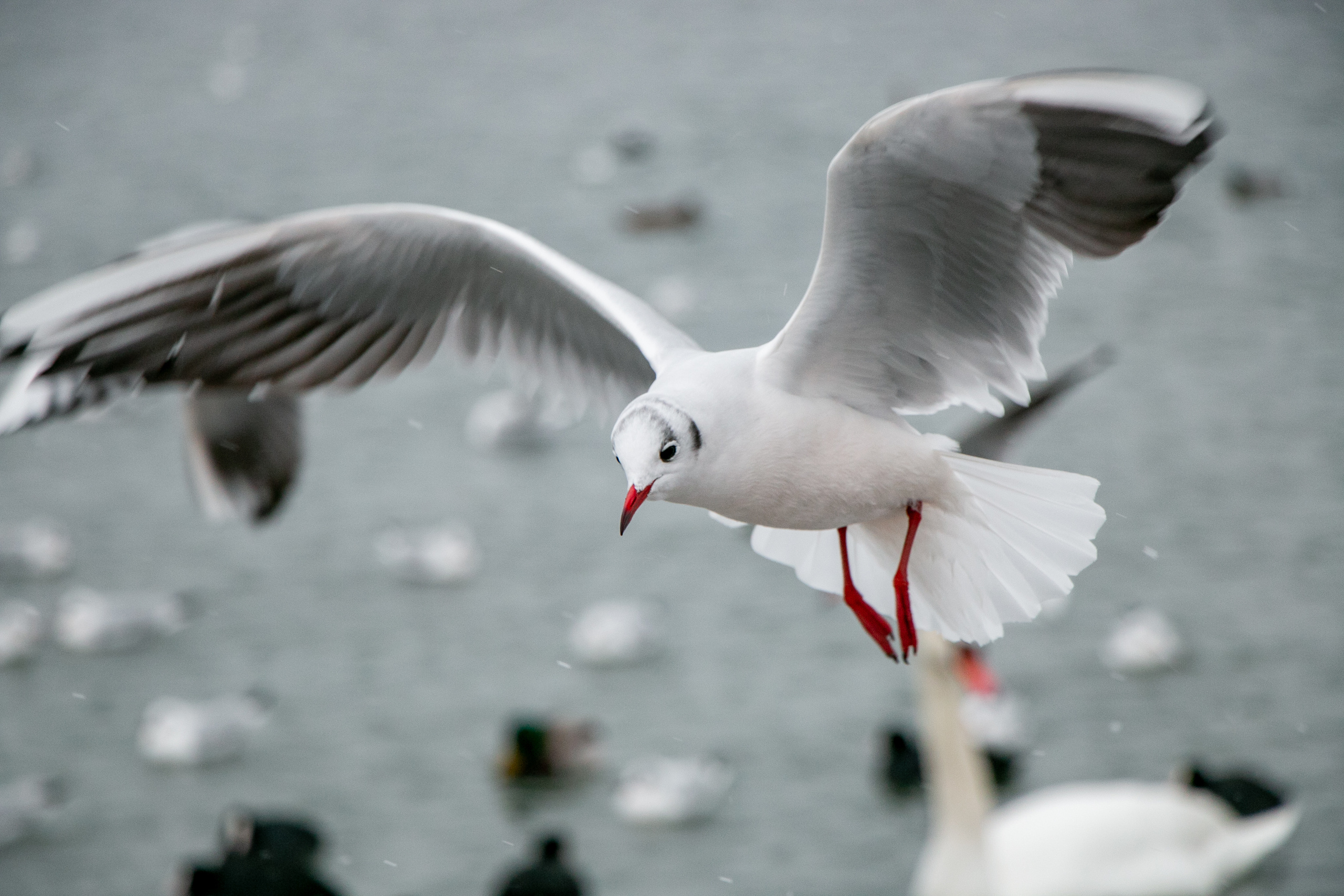 Паромная переправа. Семейный фотограф Великодолинское