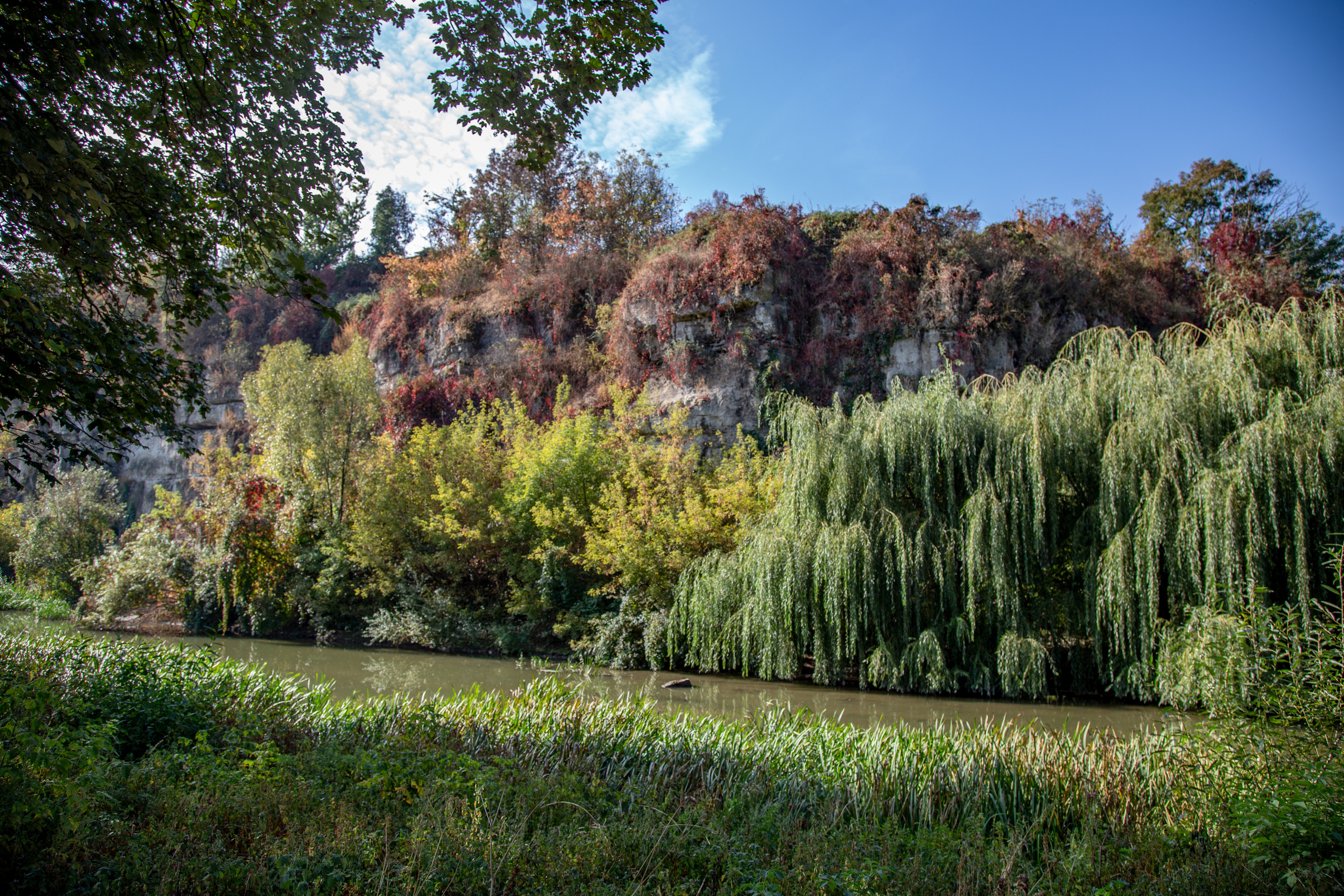 Фотографии Каменец-Подольский. Семейный фотограф Великодолинское