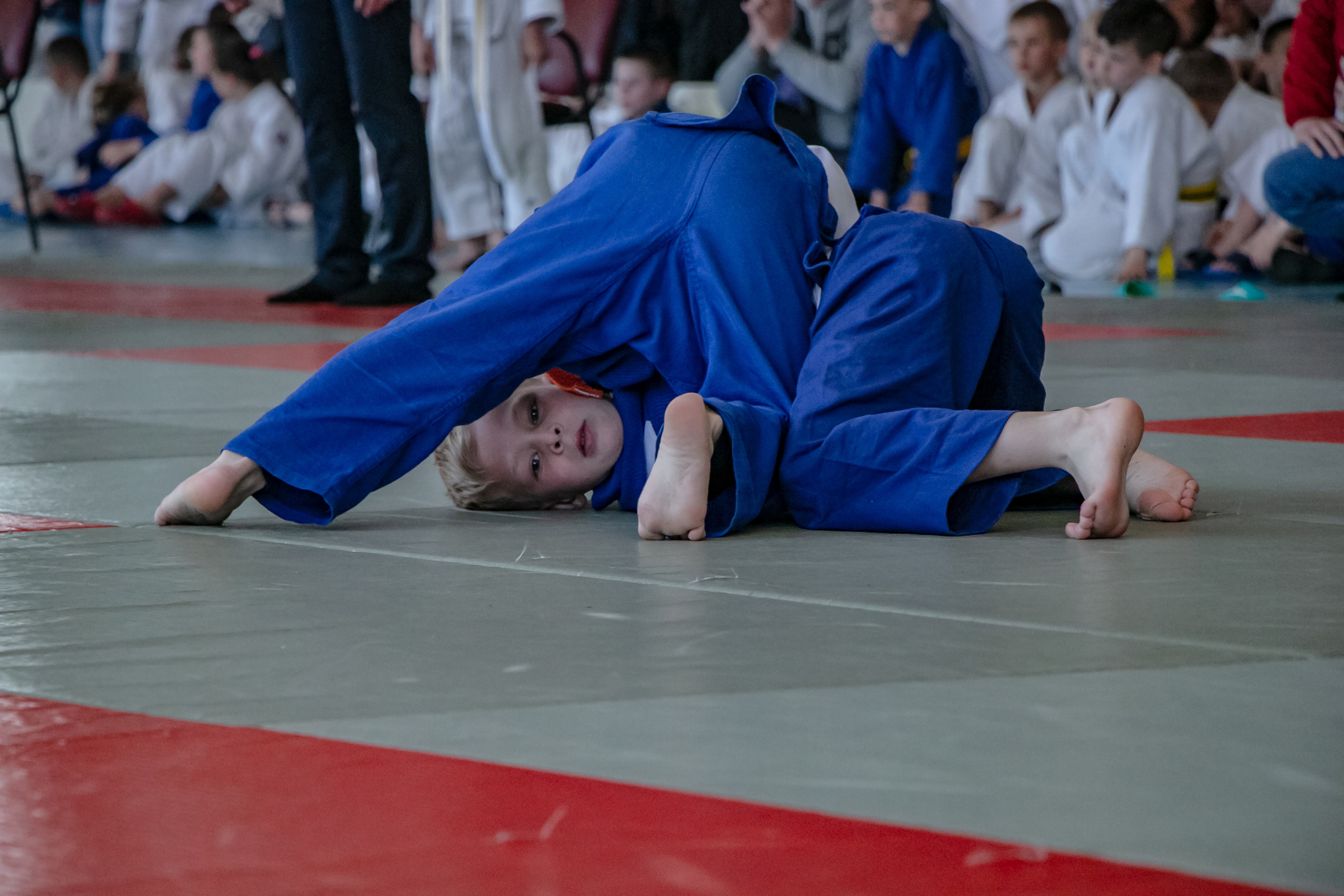 Дзюдо. Спортивный репортаж. Семейный фотограф Великодолинское