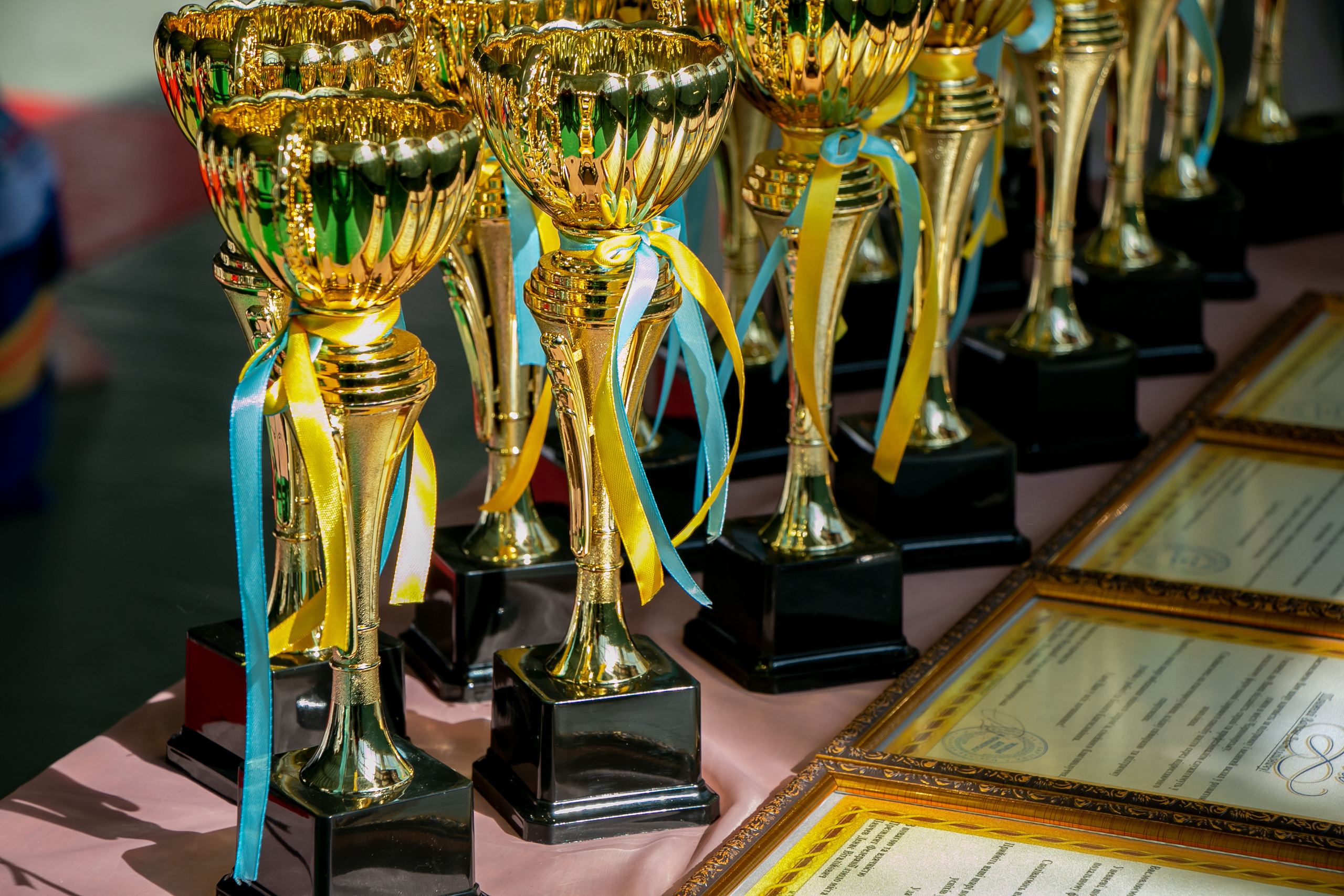 Дзюдо. Спортивный репортаж. Семейный фотограф Великодолинское