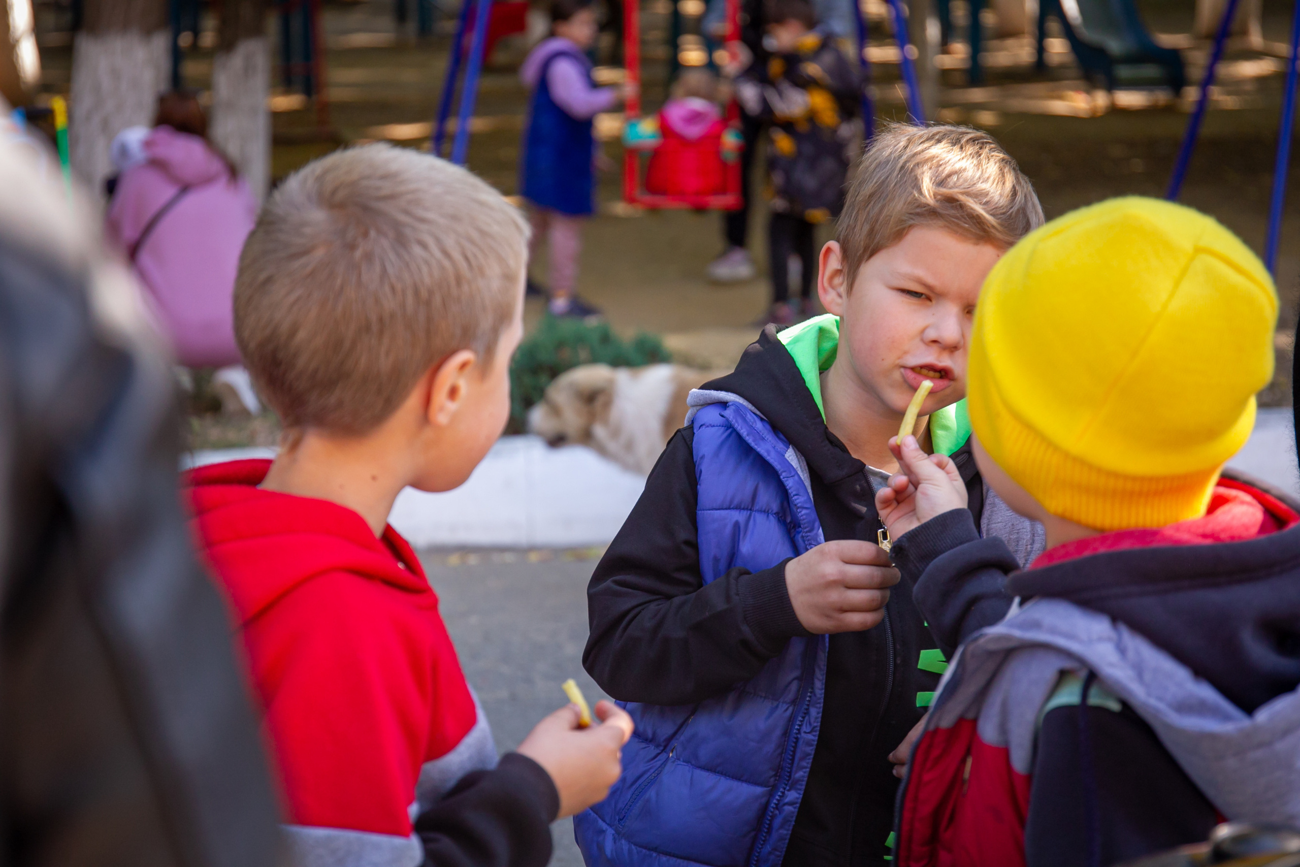 Ярмарка. Семейный фотограф Великодолинское