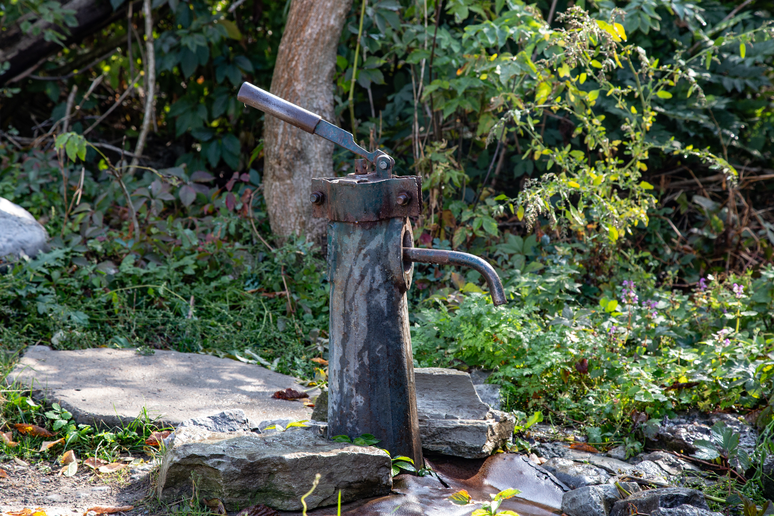 Фотографии Каменец-Подольский. Семейный фотограф Великодолинское