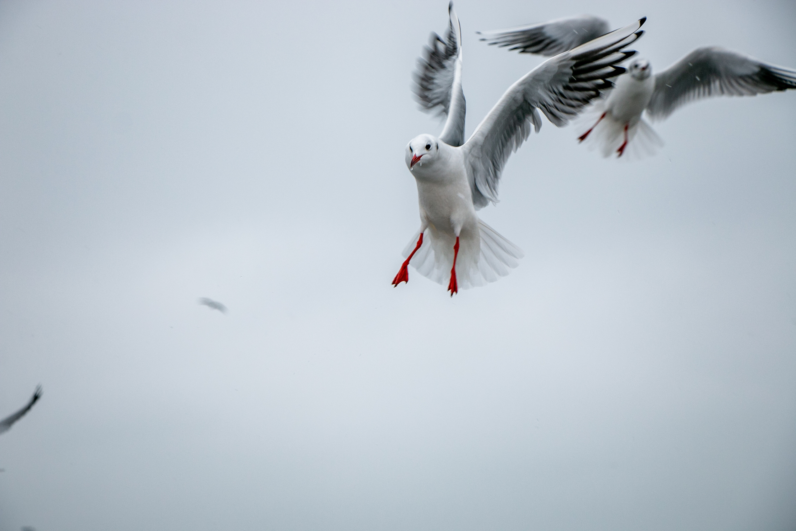 Паромная переправа. Семейный фотограф Великодолинское