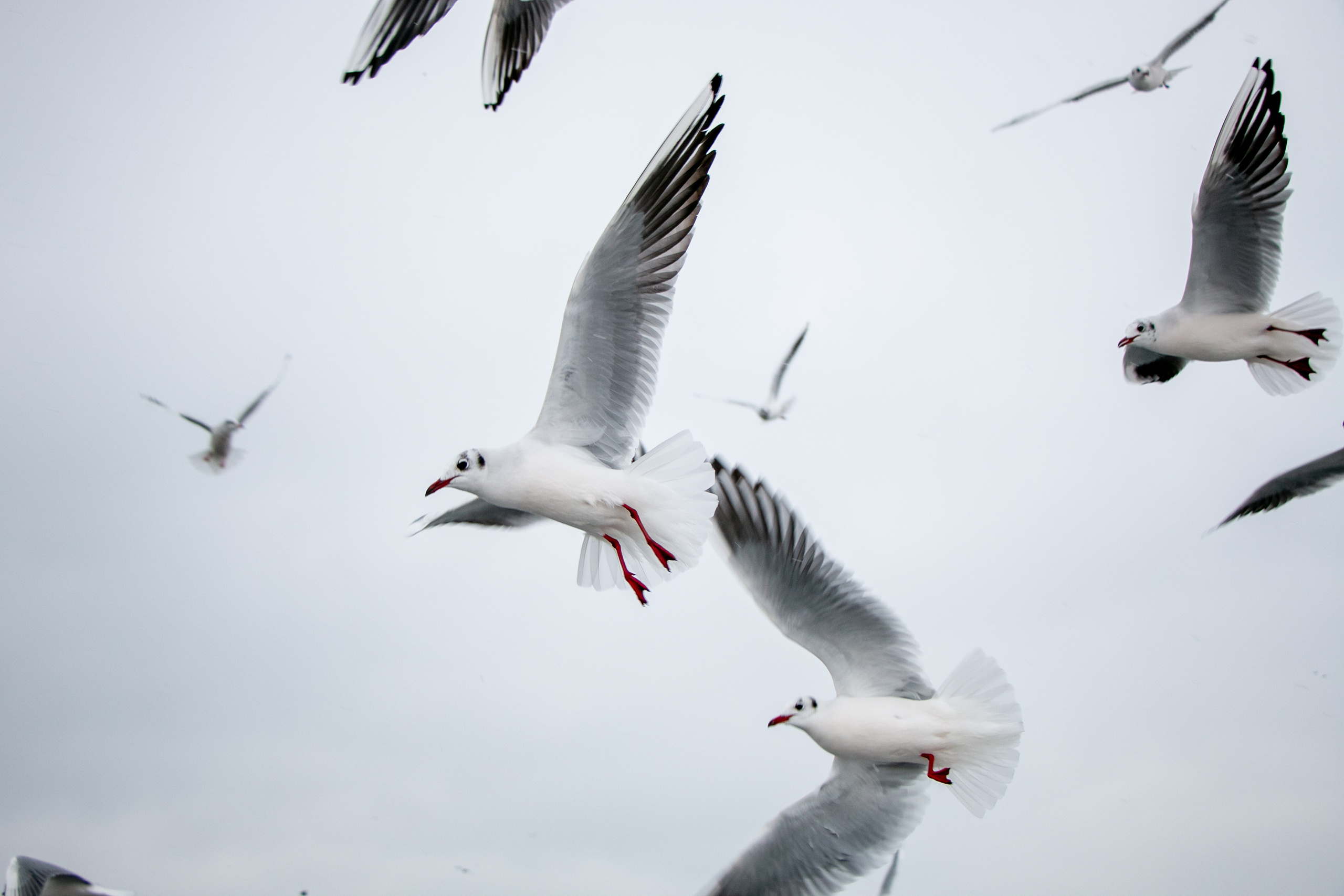 Паромная переправа. Семейный фотограф Великодолинское