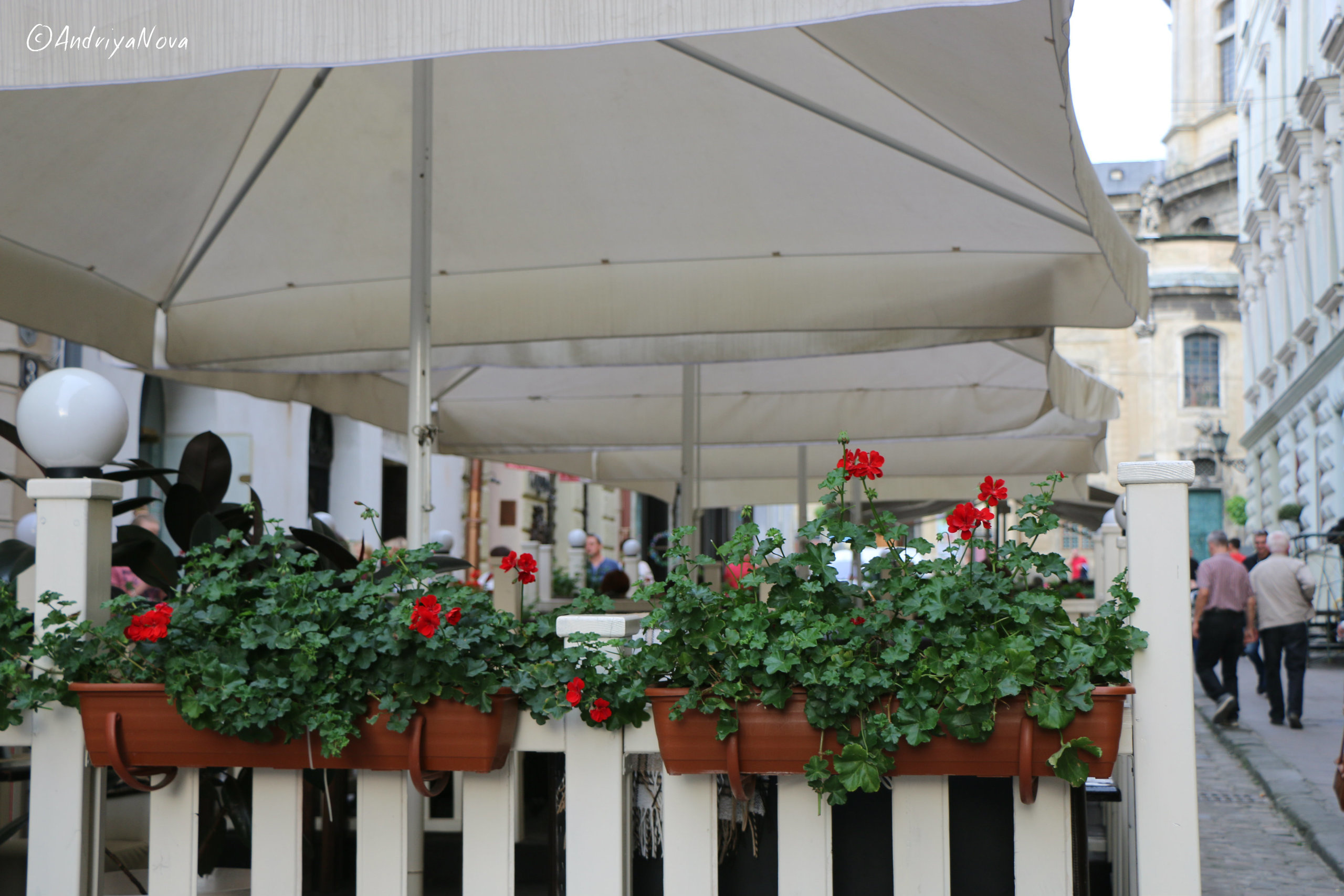 Львов моими глазами. Семейный фотограф Великодолинское