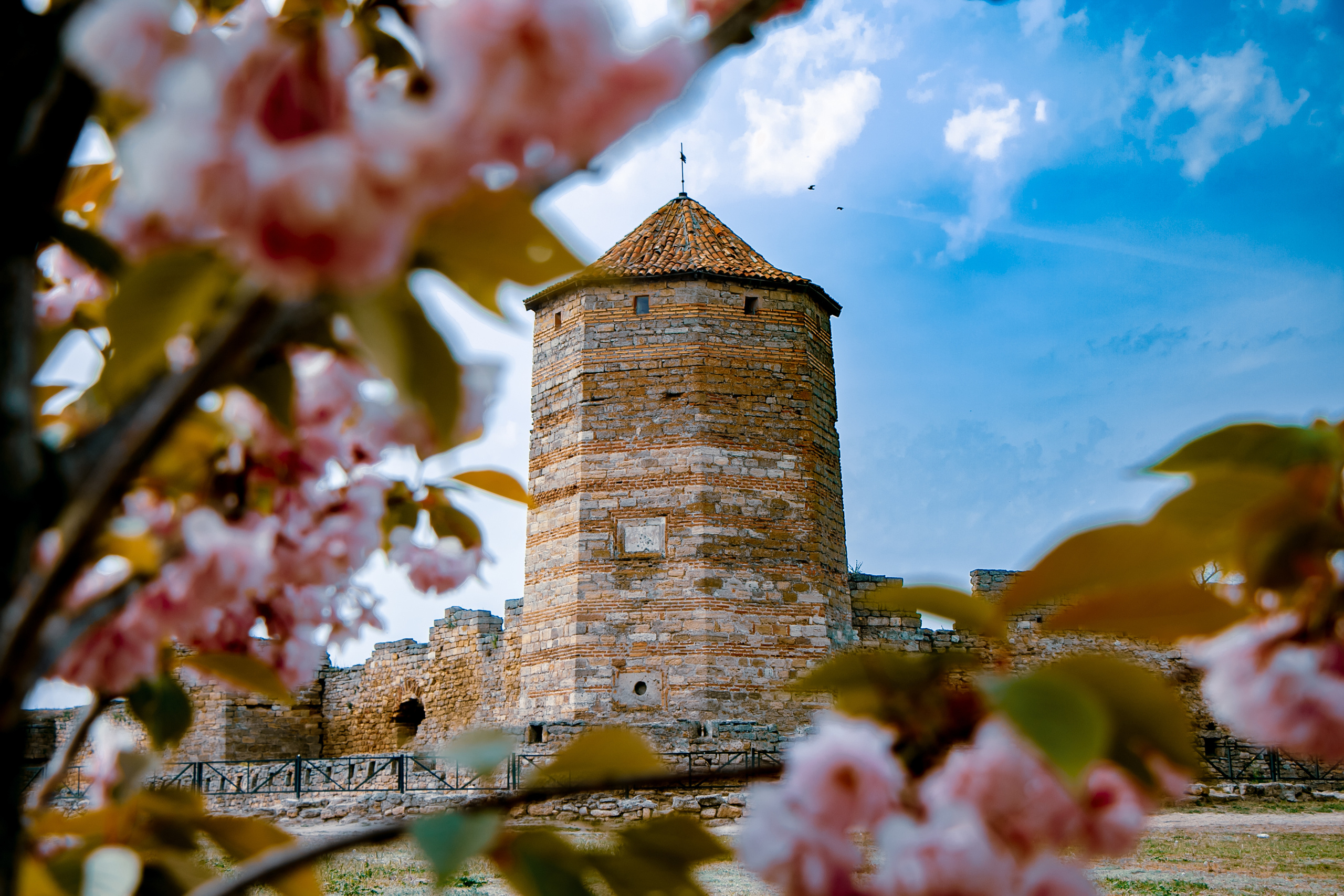 Аккерманская крепость. Семейный фотограф Великодолинское