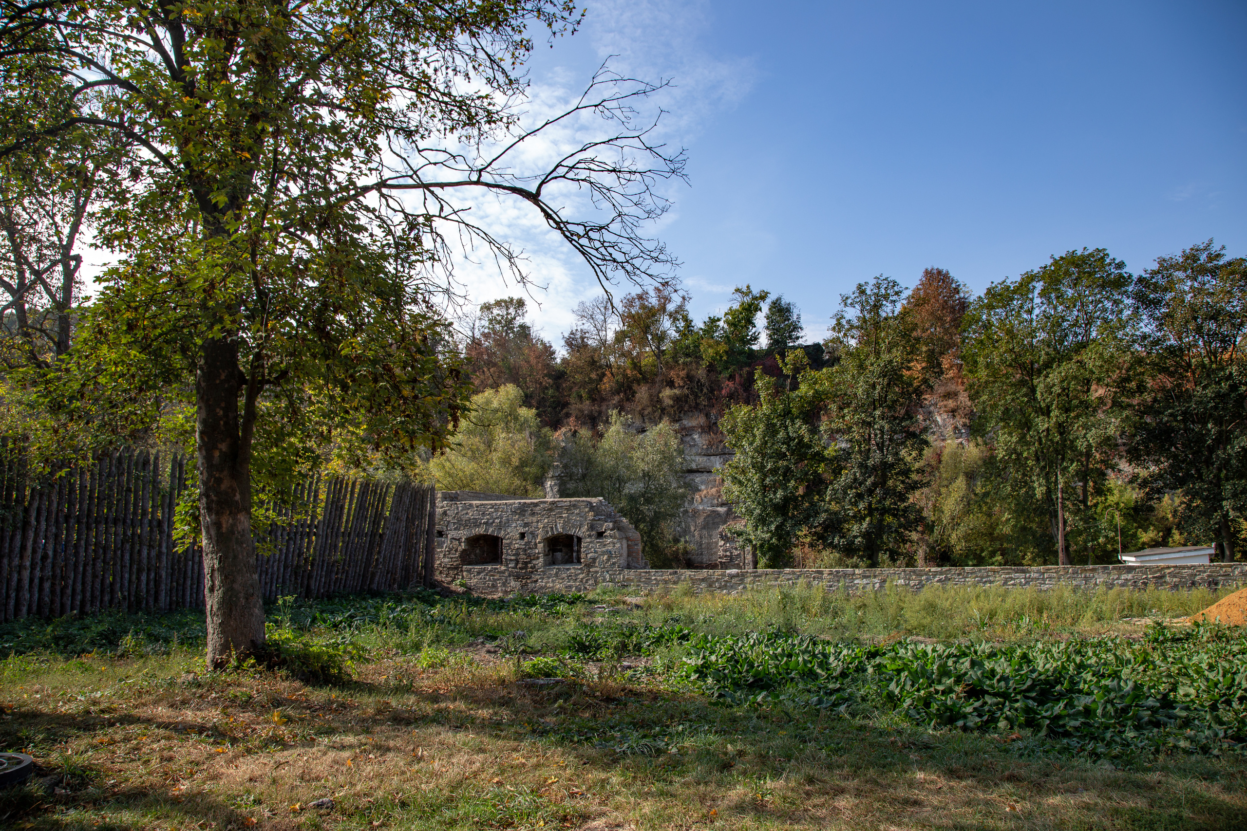 Фотографии Каменец-Подольский. Семейный фотограф Великодолинское