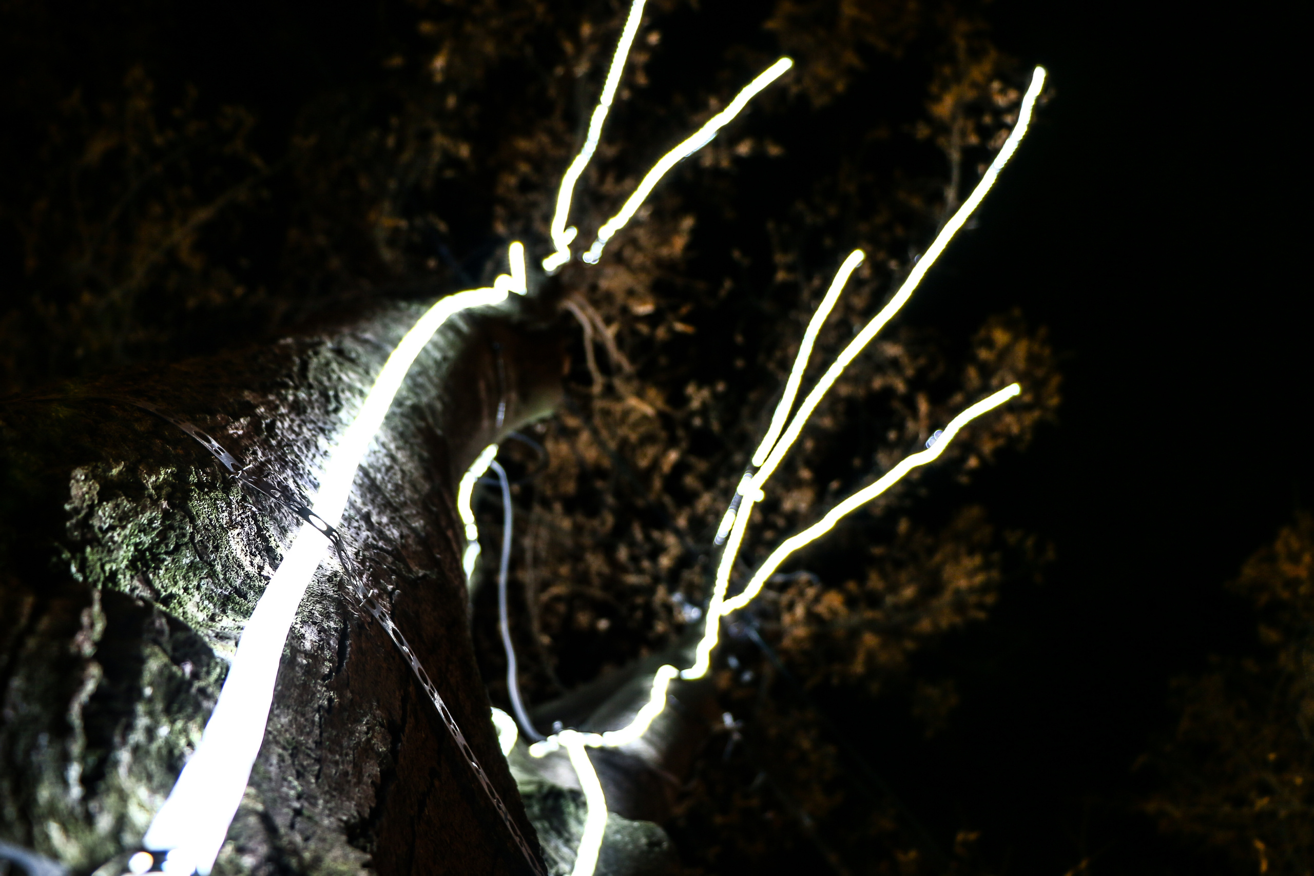 Вечерняя Одесса, фотографии города. Семейный фотограф Великодолинское