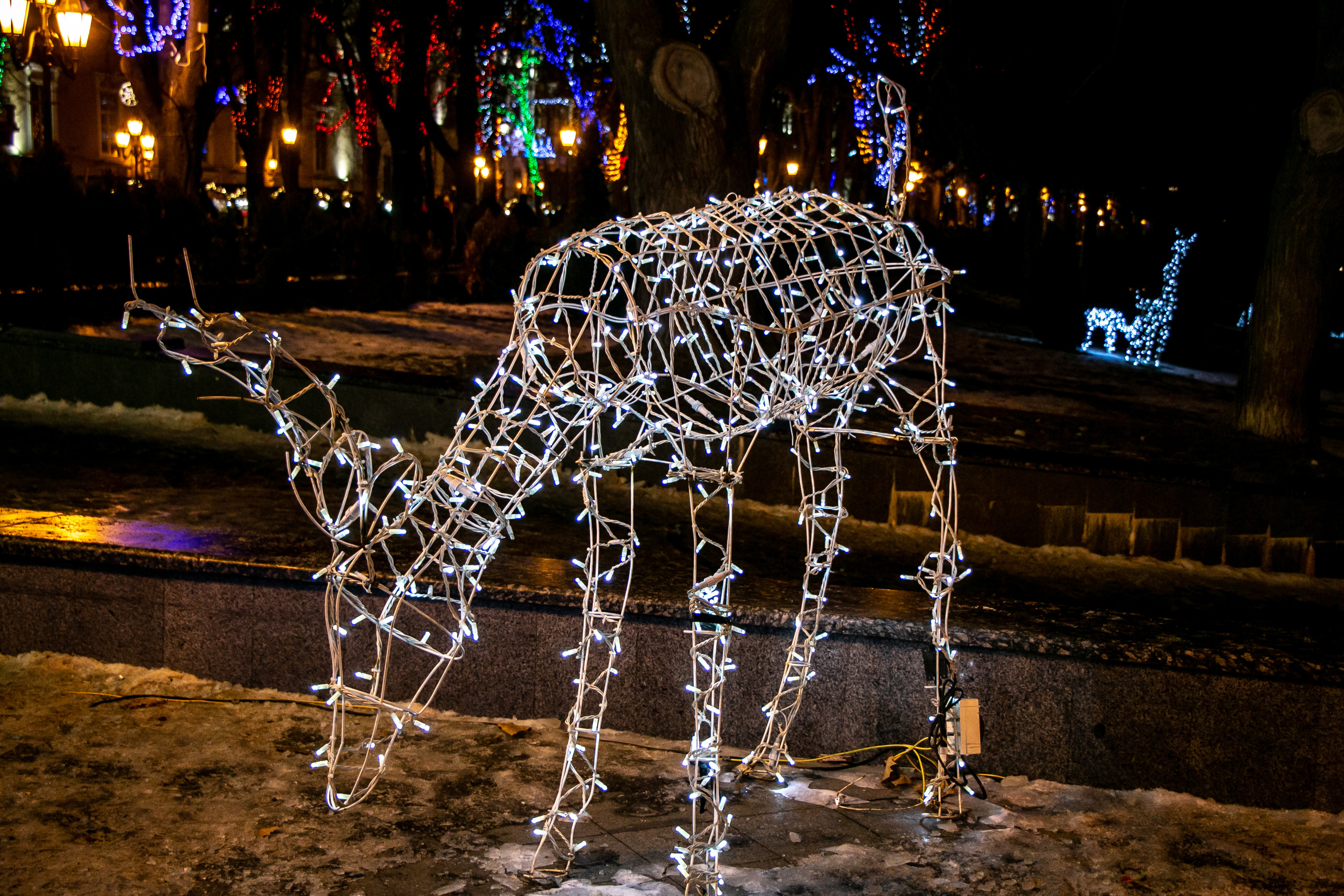 Вечерняя Одесса, фотографии города. Семейный фотограф Великодолинское