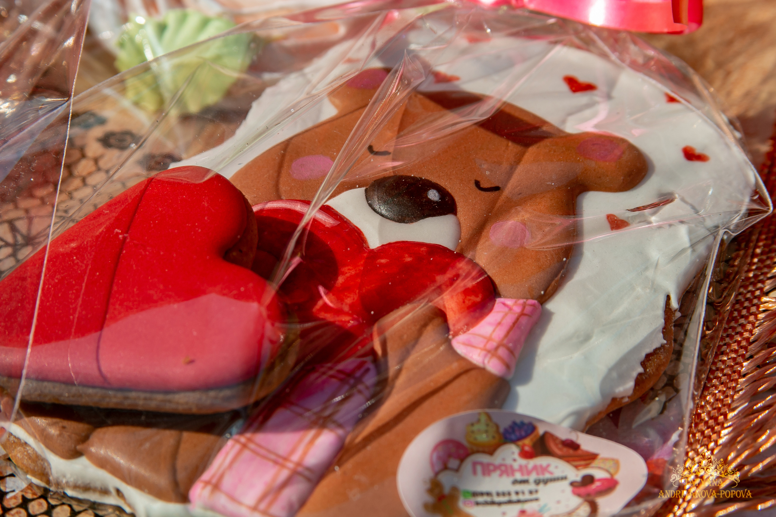 Масленица Великодолинское. Семейный фотограф Великодолинское