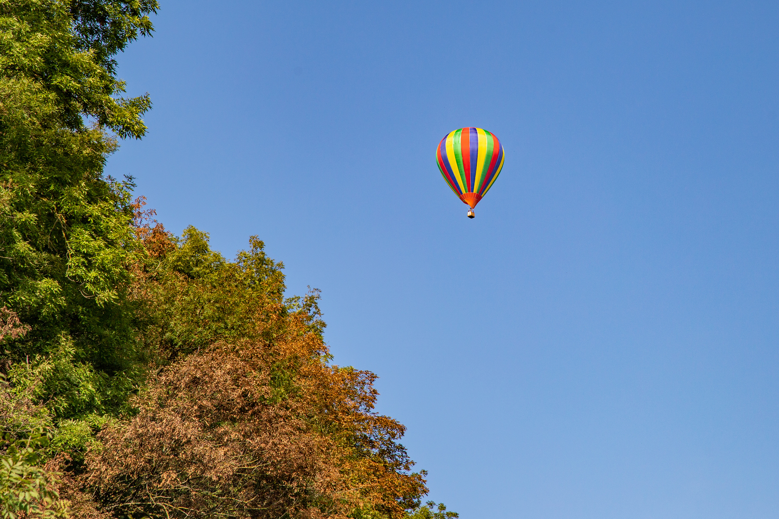 Фотографии Каменец-Подольский. Семейный фотограф Великодолинское