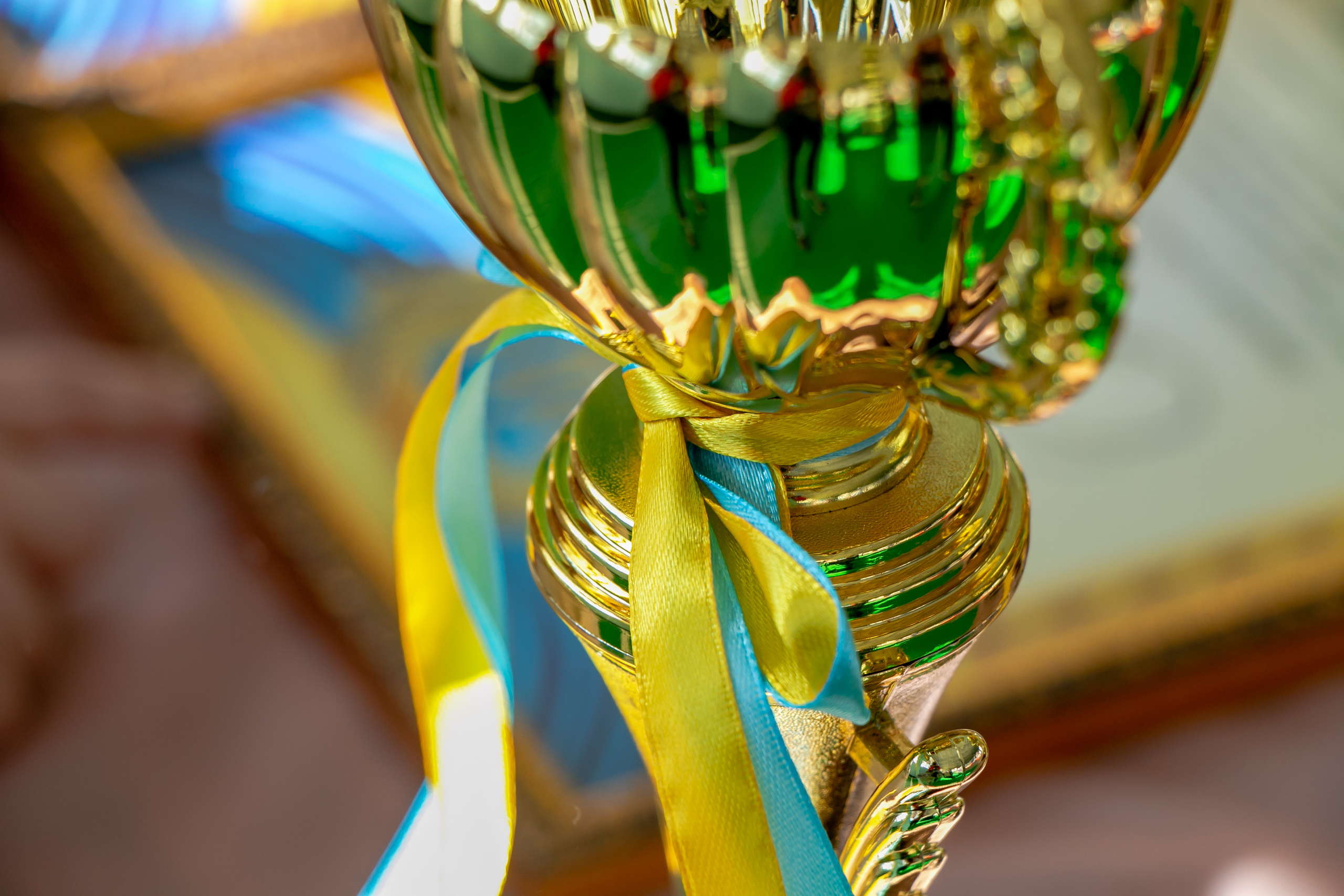 Дзюдо. Спортивный репортаж. Семейный фотограф Великодолинское