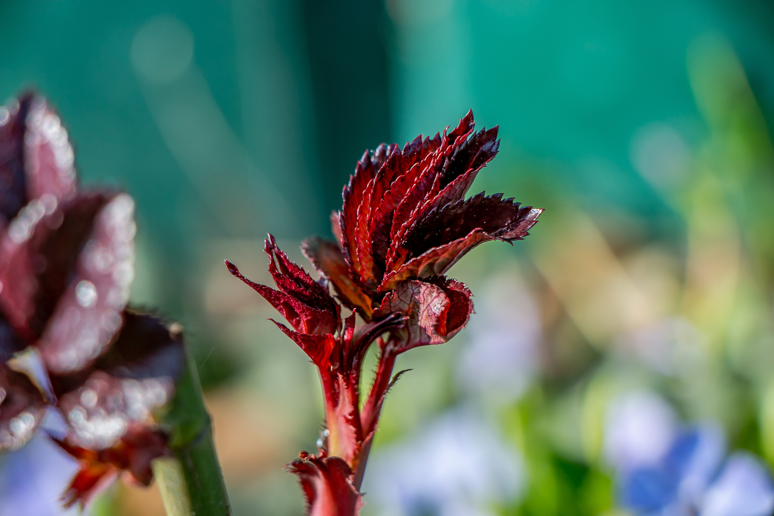 Весенние фото. Семейный фотограф Великодолинское