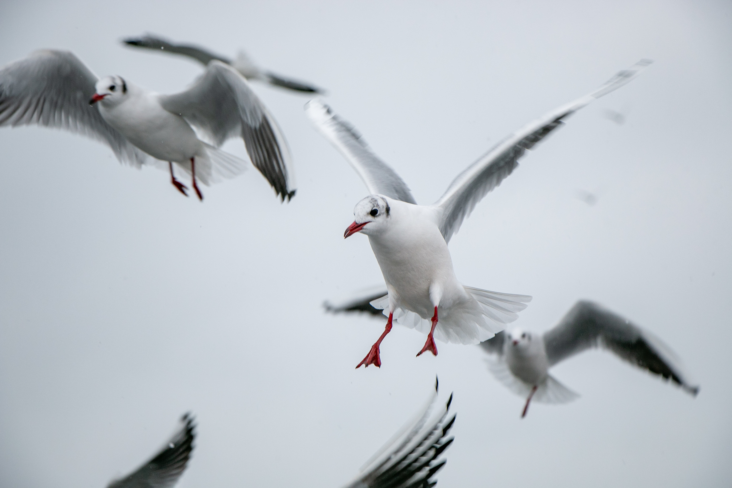 Паромная переправа. Семейный фотограф Великодолинское
