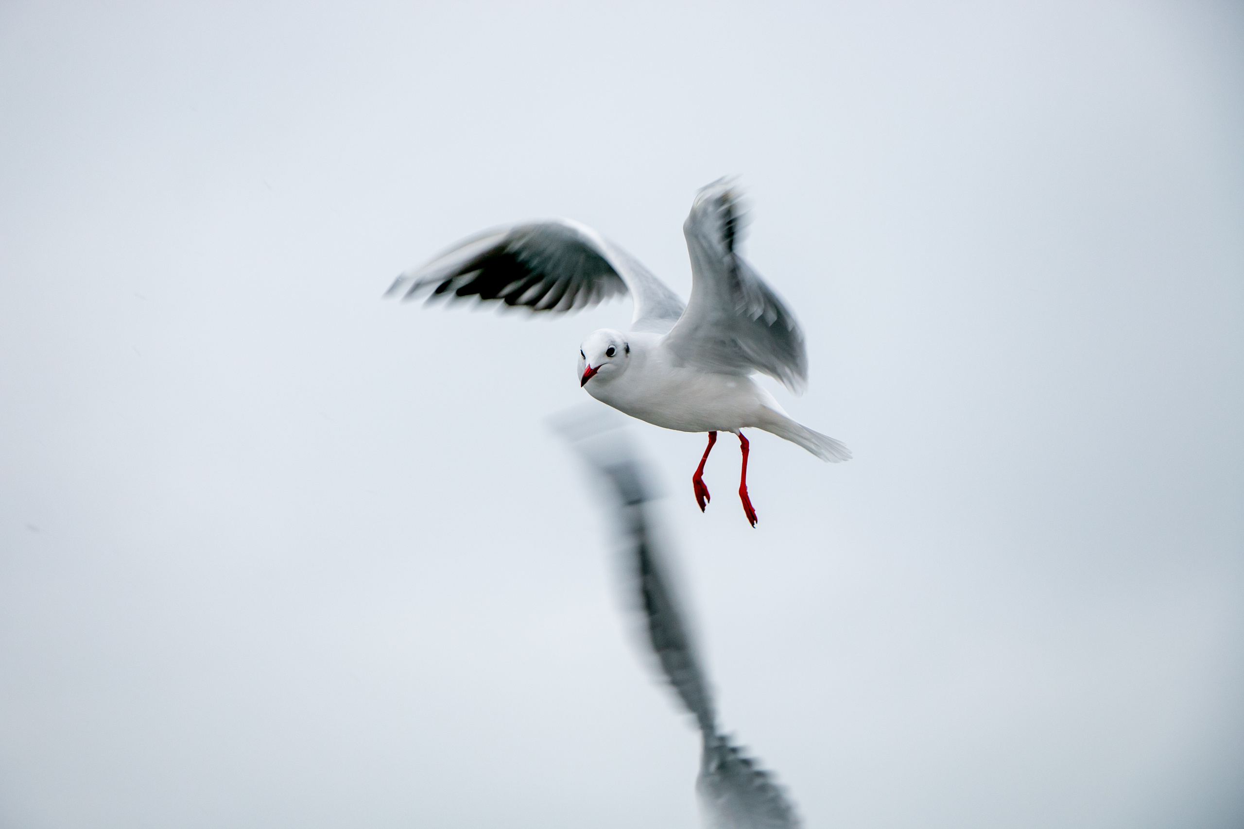 Паромная переправа. Семейный фотограф Великодолинское