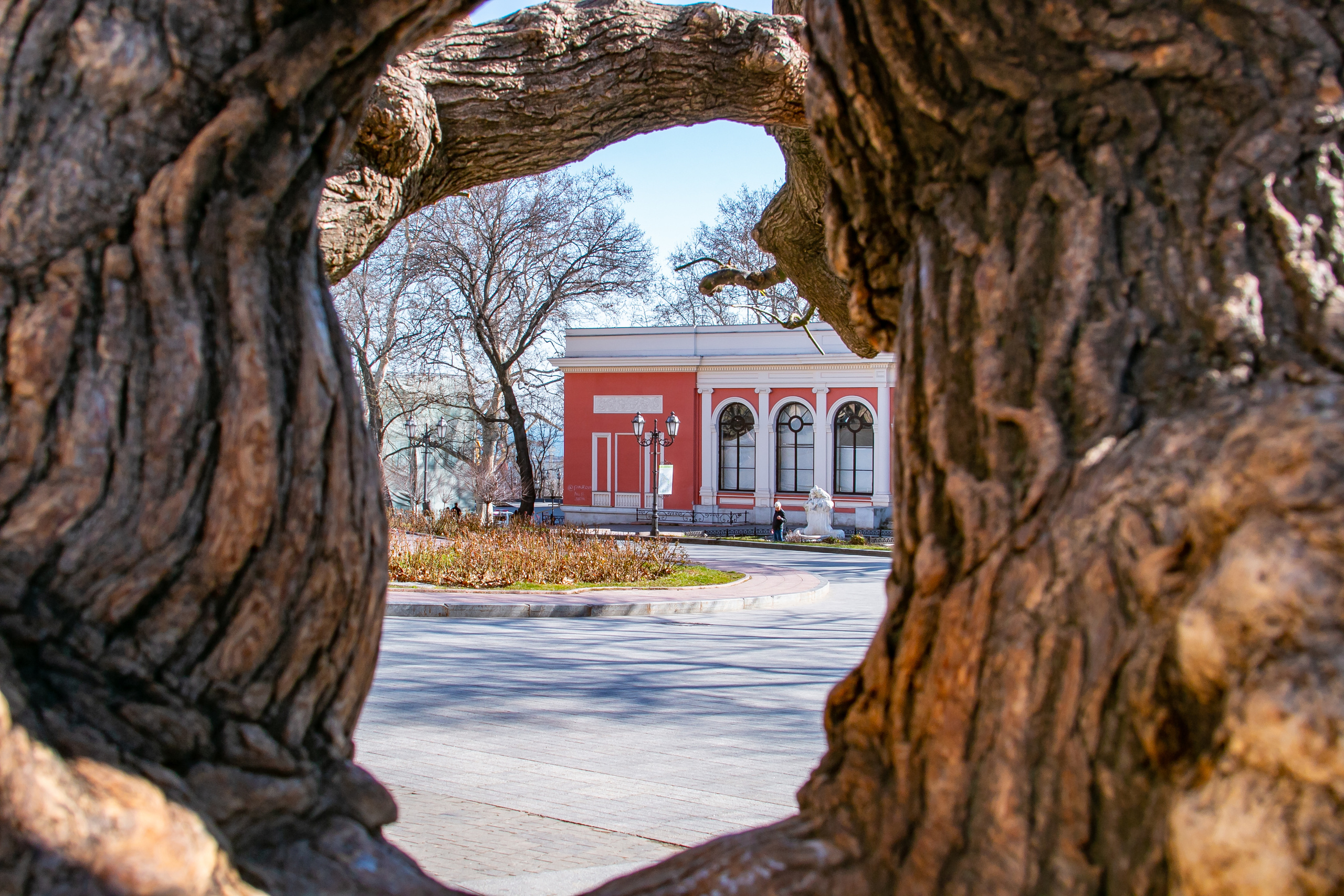 Ах, Одесса! Новые фотографии города. Семейный фотограф Великодолинское