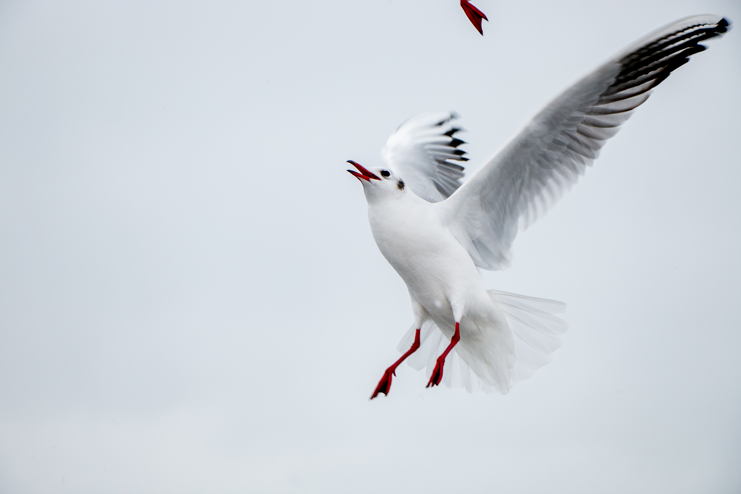 Паромная переправа. Семейный фотограф Великодолинское