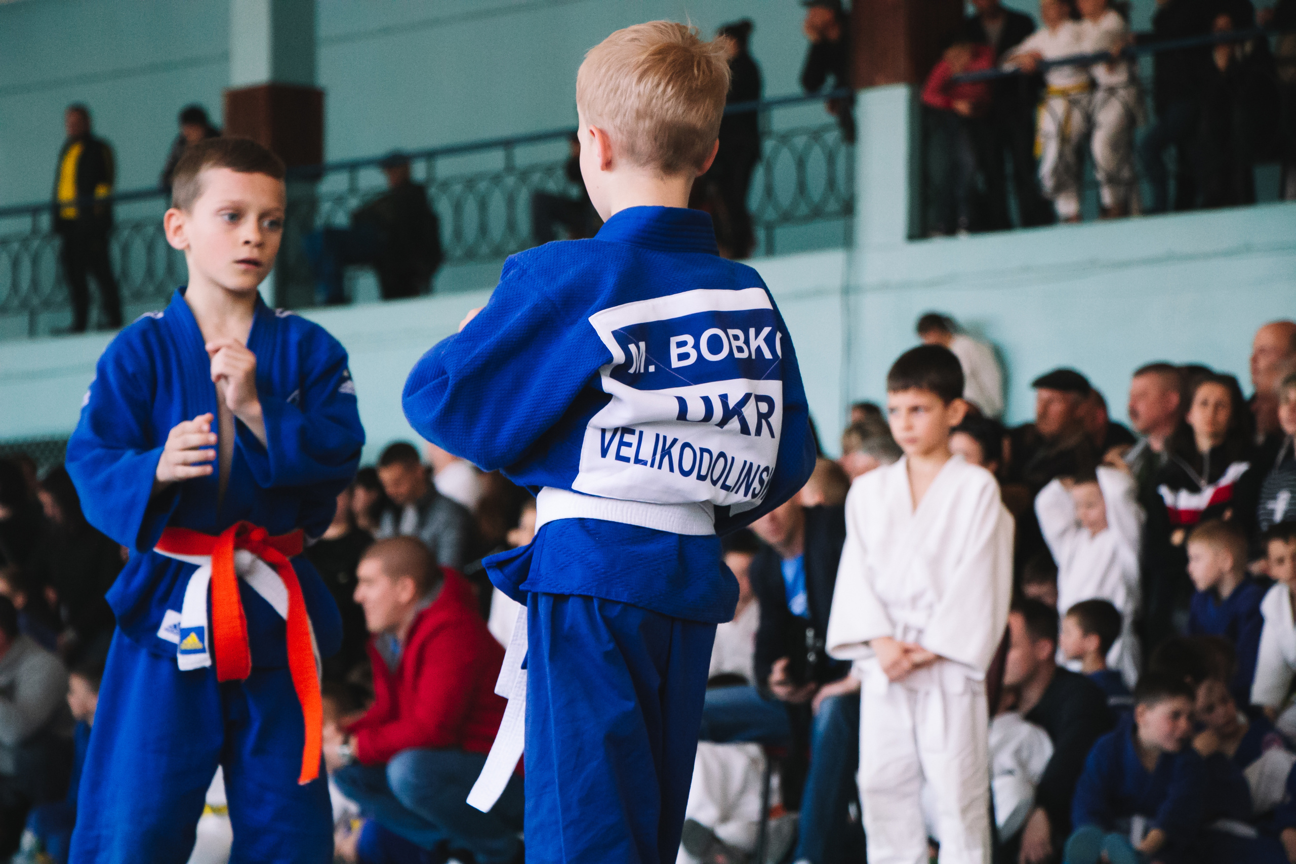 Дзюдо. Спортивный репортаж. Семейный фотограф Великодолинское