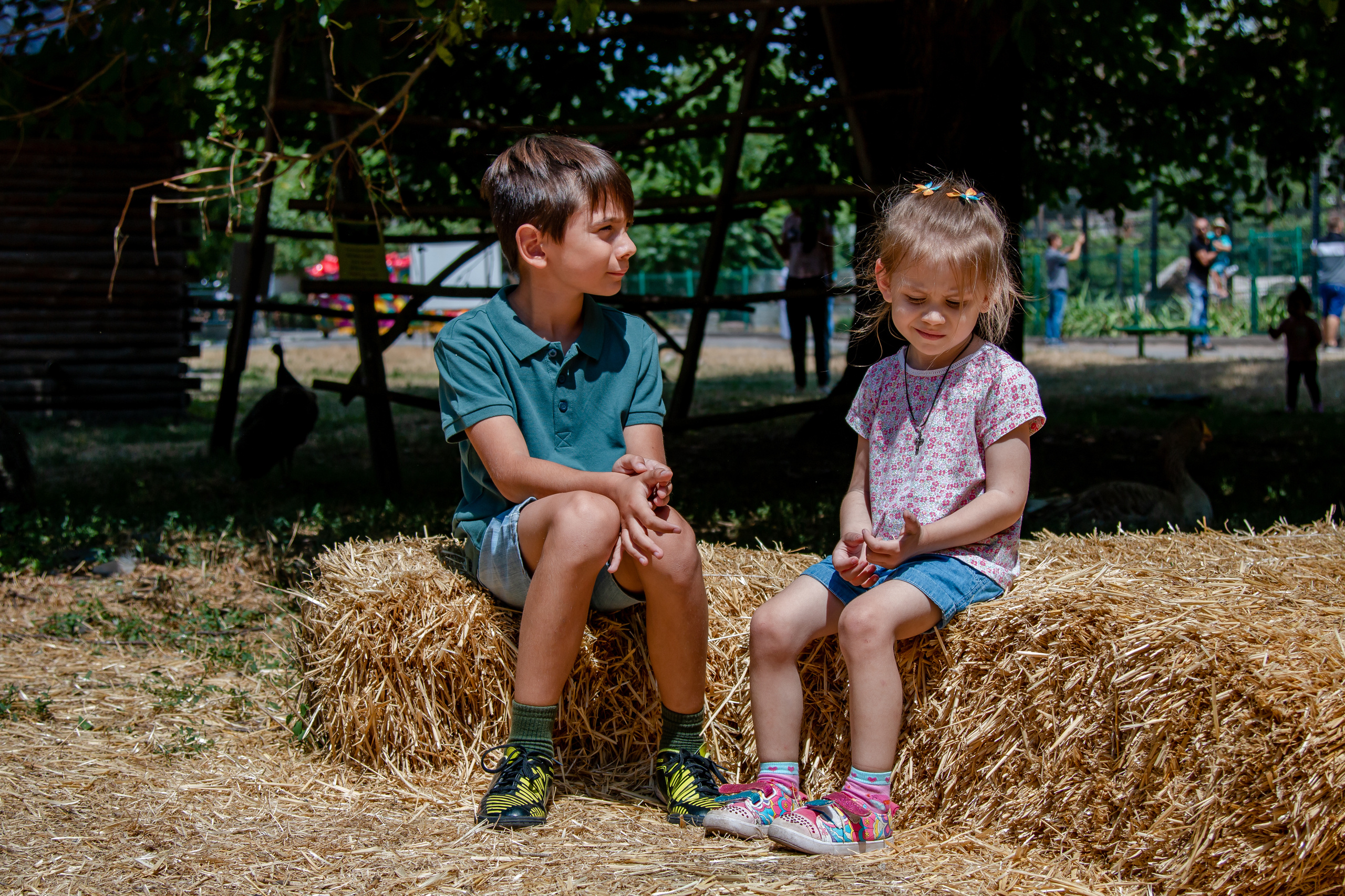Брат и сестра. Семейный фотограф Великодолинское
