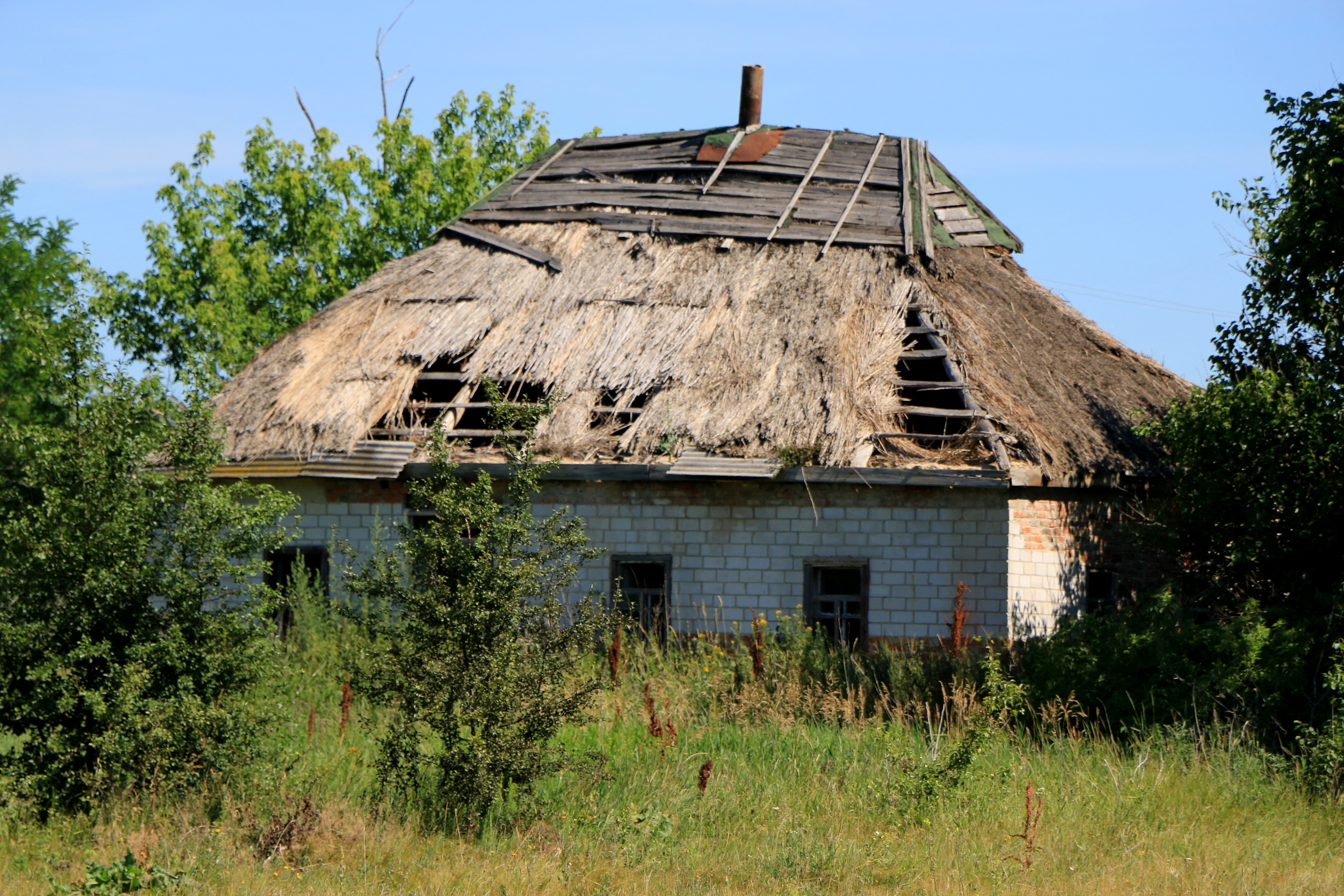 Деревенские мотивы, фото. Семейный фотограф Великодолинское