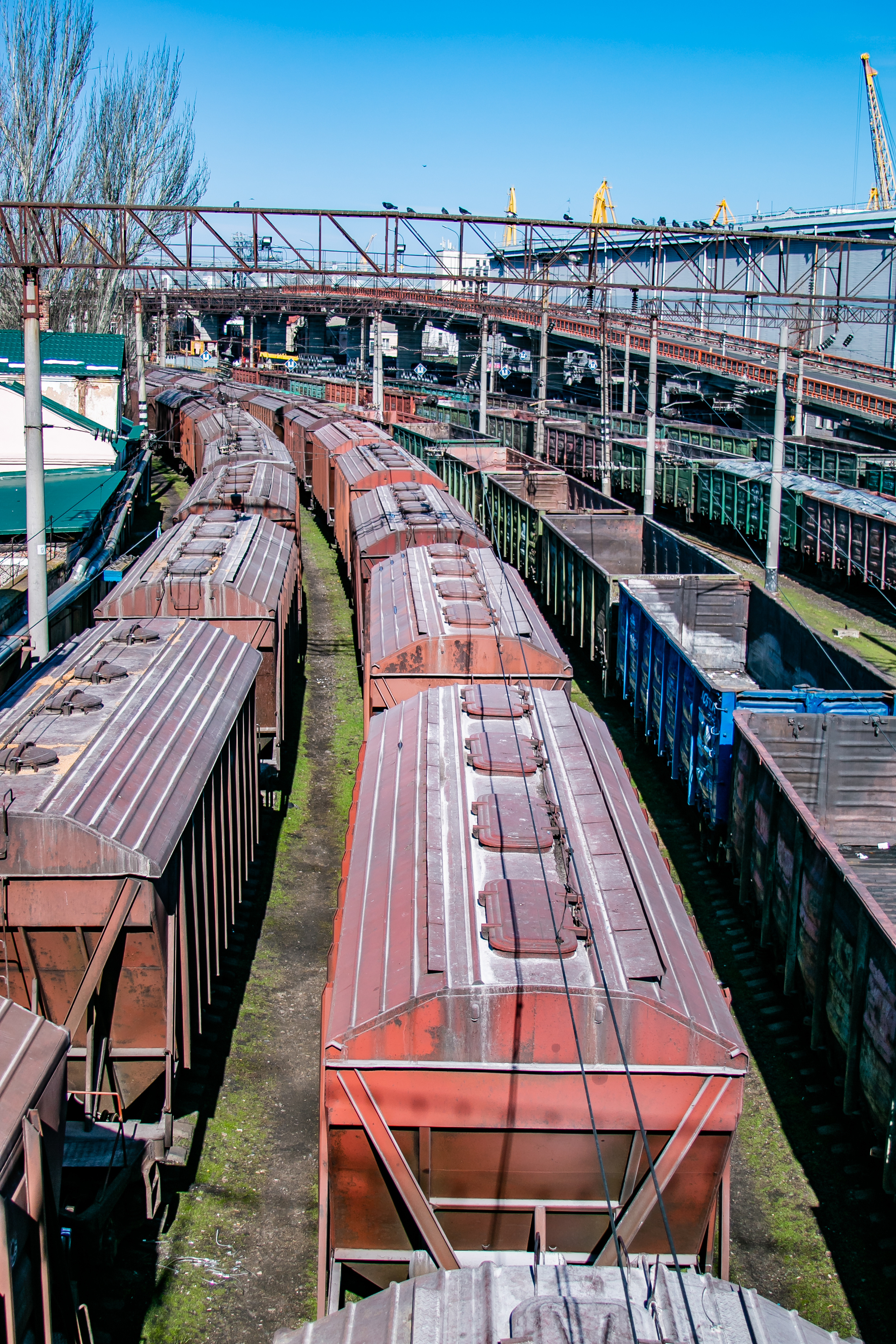 Ах, Одесса! Новые фотографии города. Семейный фотограф Великодолинское