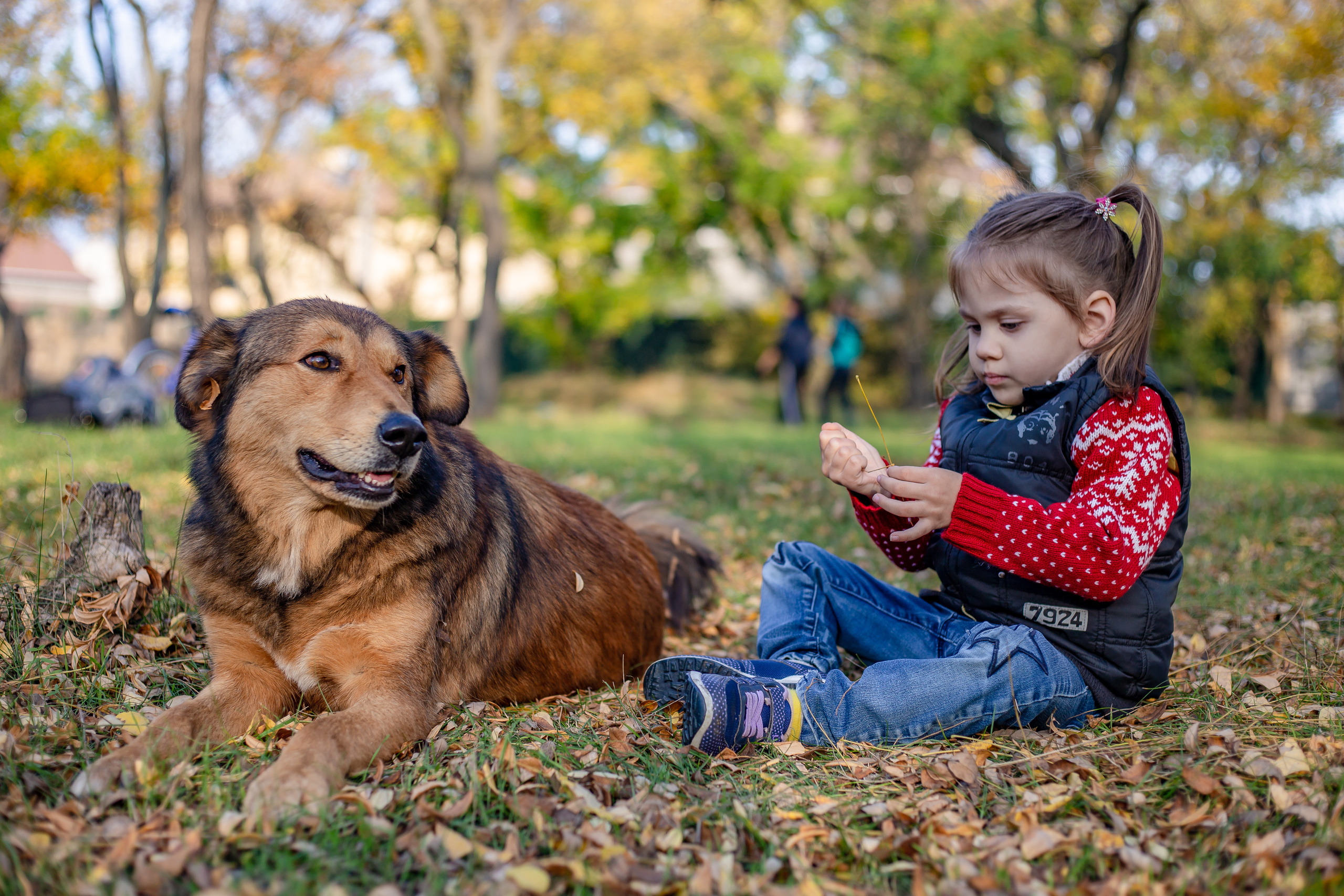 Детская осенняя фотосессия. Семейный фотограф Великодолинское