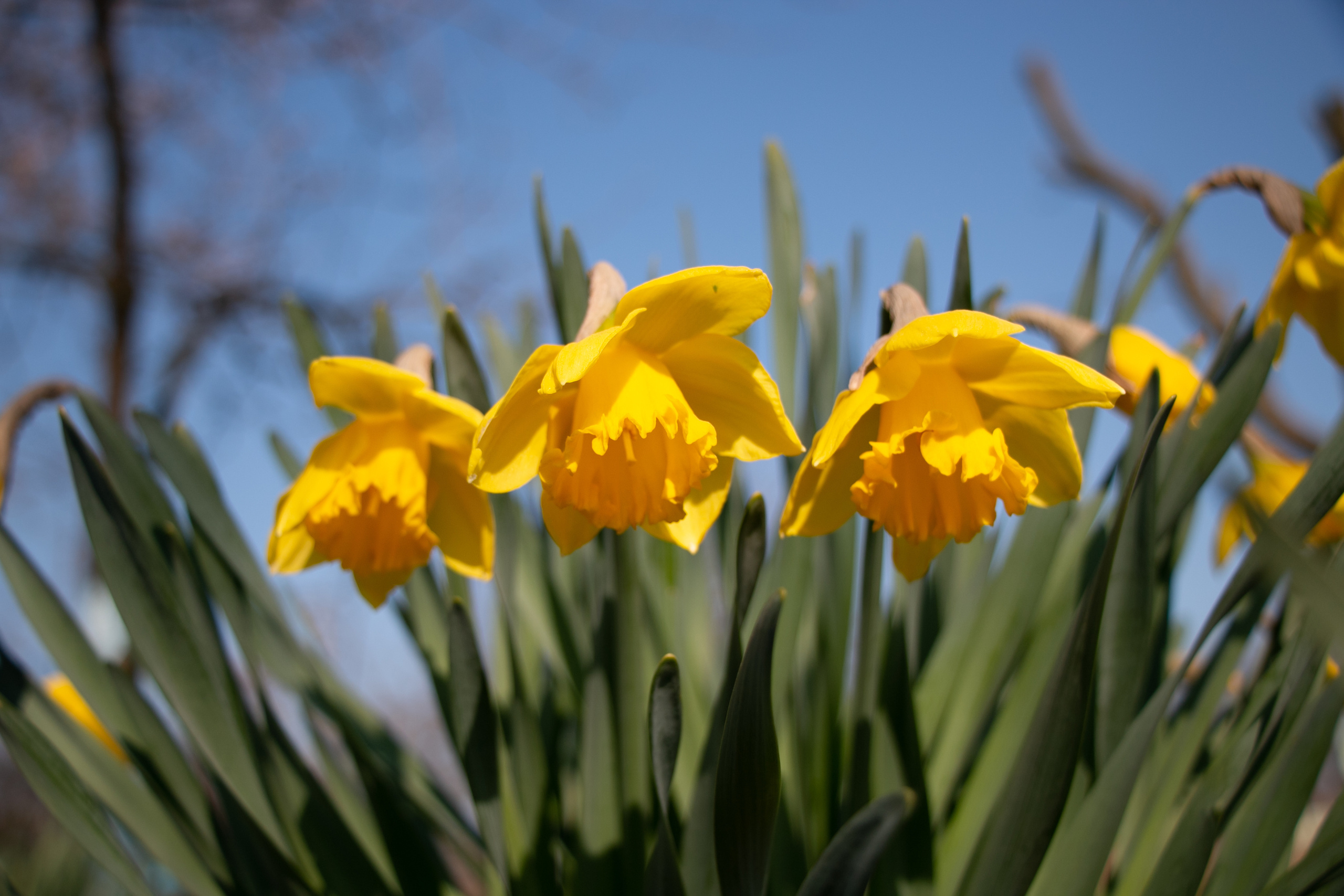До обработки. После обработки фото. Семейный фотограф Великодолинское